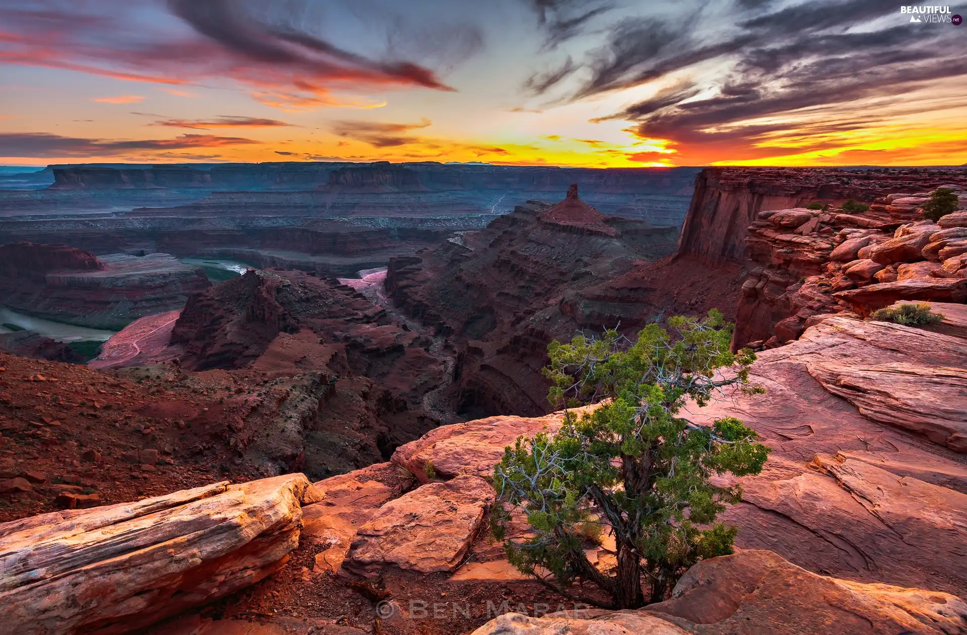 rocks, trees, The United States, Great Sunsets, Utah State, The Colorado River, canyon, State Park Dead Horse Point