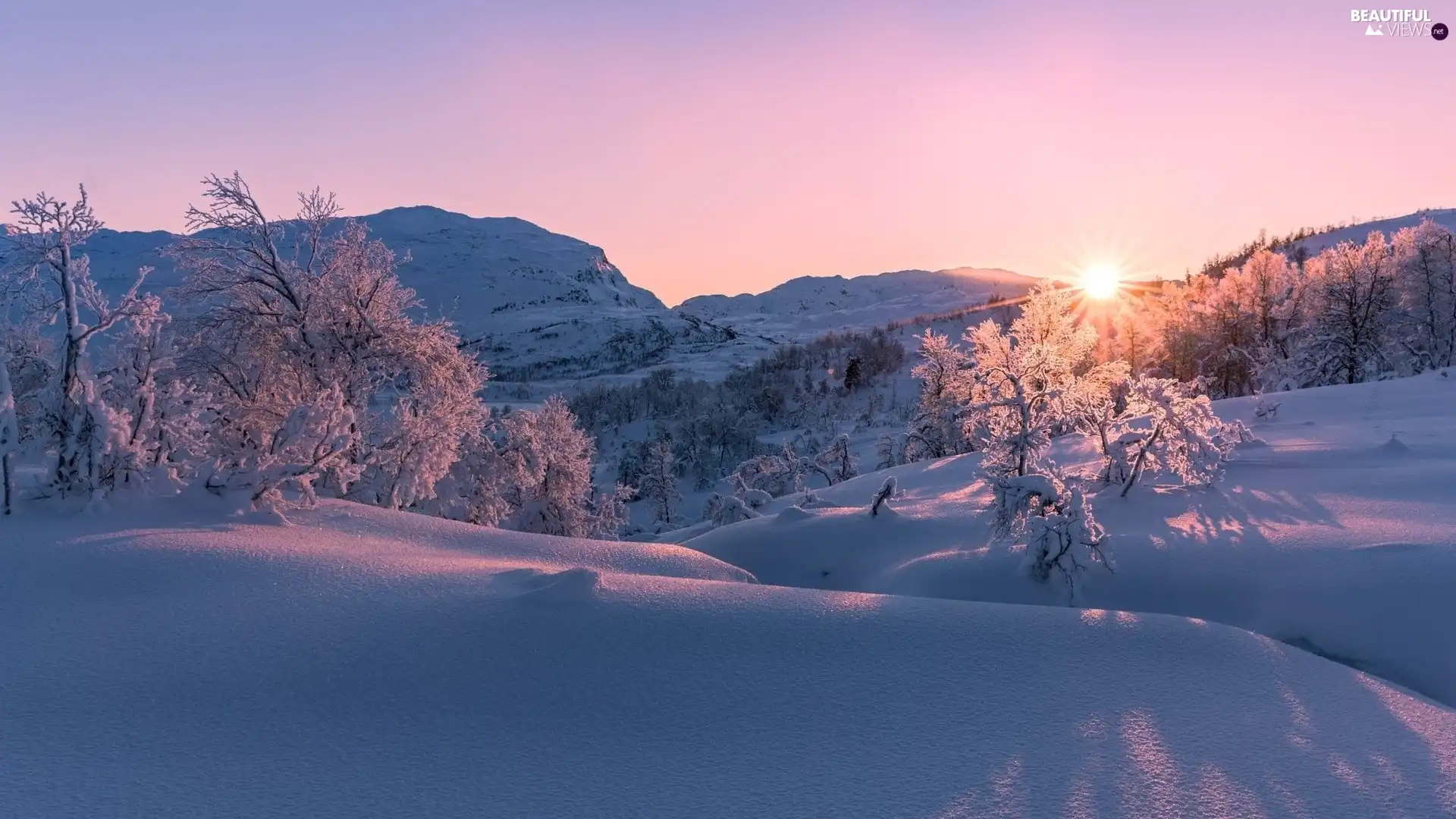 Great Sunsets, winter, trees, viewes, Mountains, rays of the Sun