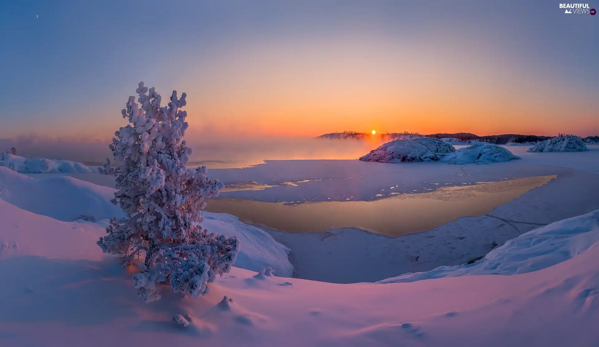Fog, winter, trees, Great Sunsets, Snowy, lake