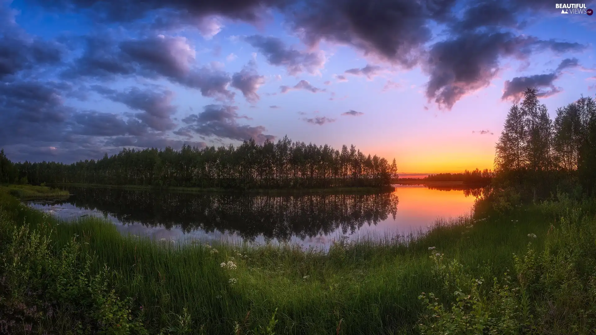 forest, curve, viewes, Great Sunsets, trees, River