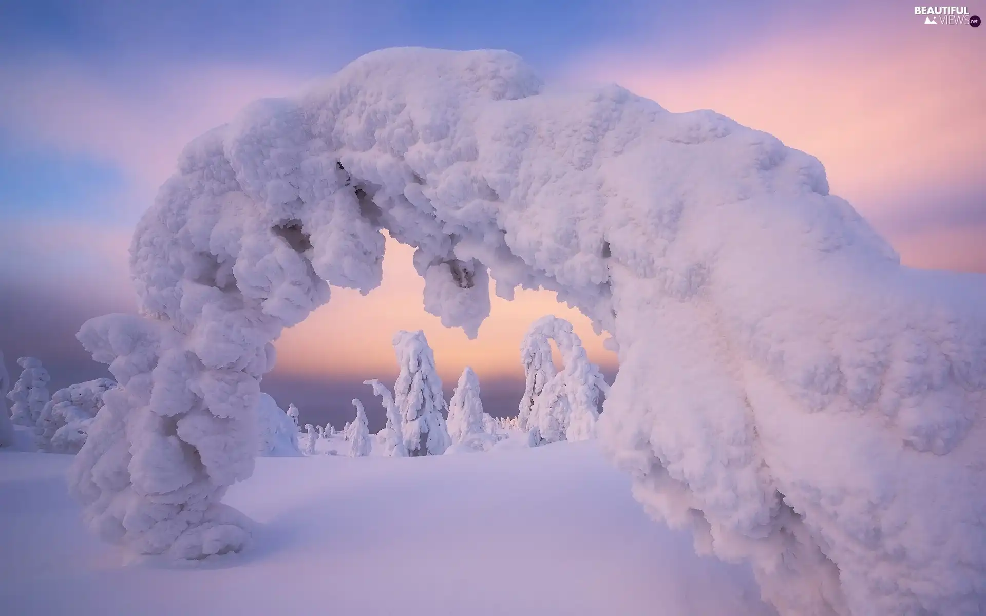 snowy, snow, viewes, Great Sunsets, trees, winter