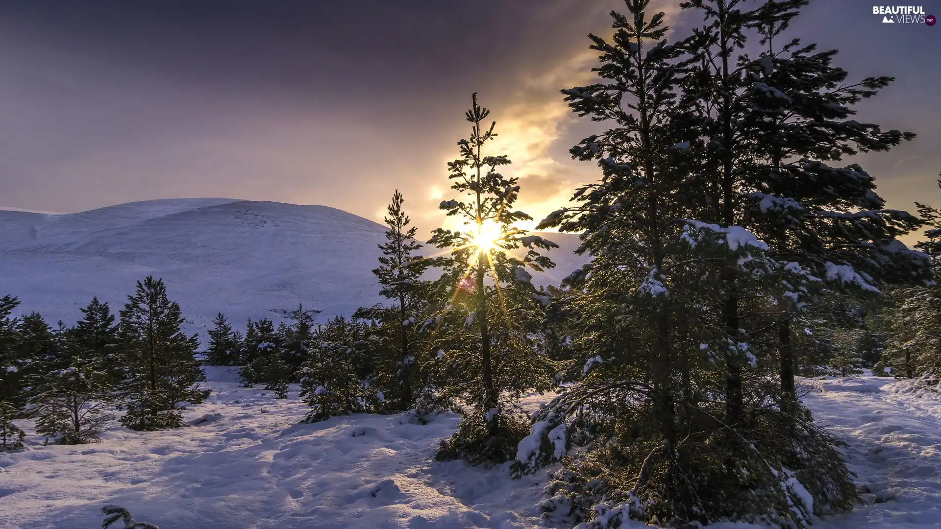 winter, forest, Great Sunsets, Mountains