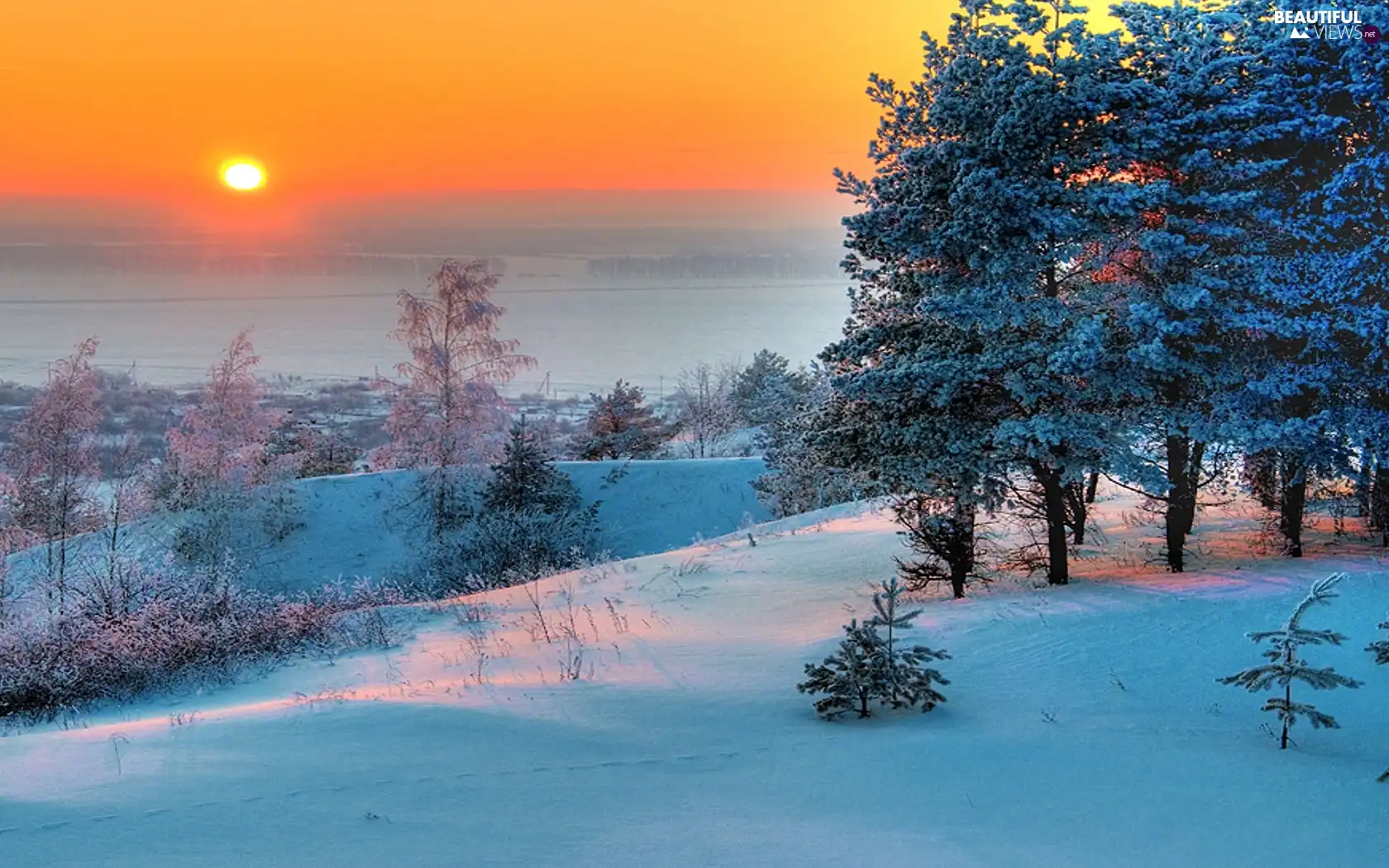 winter, viewes, Great Sunsets, trees