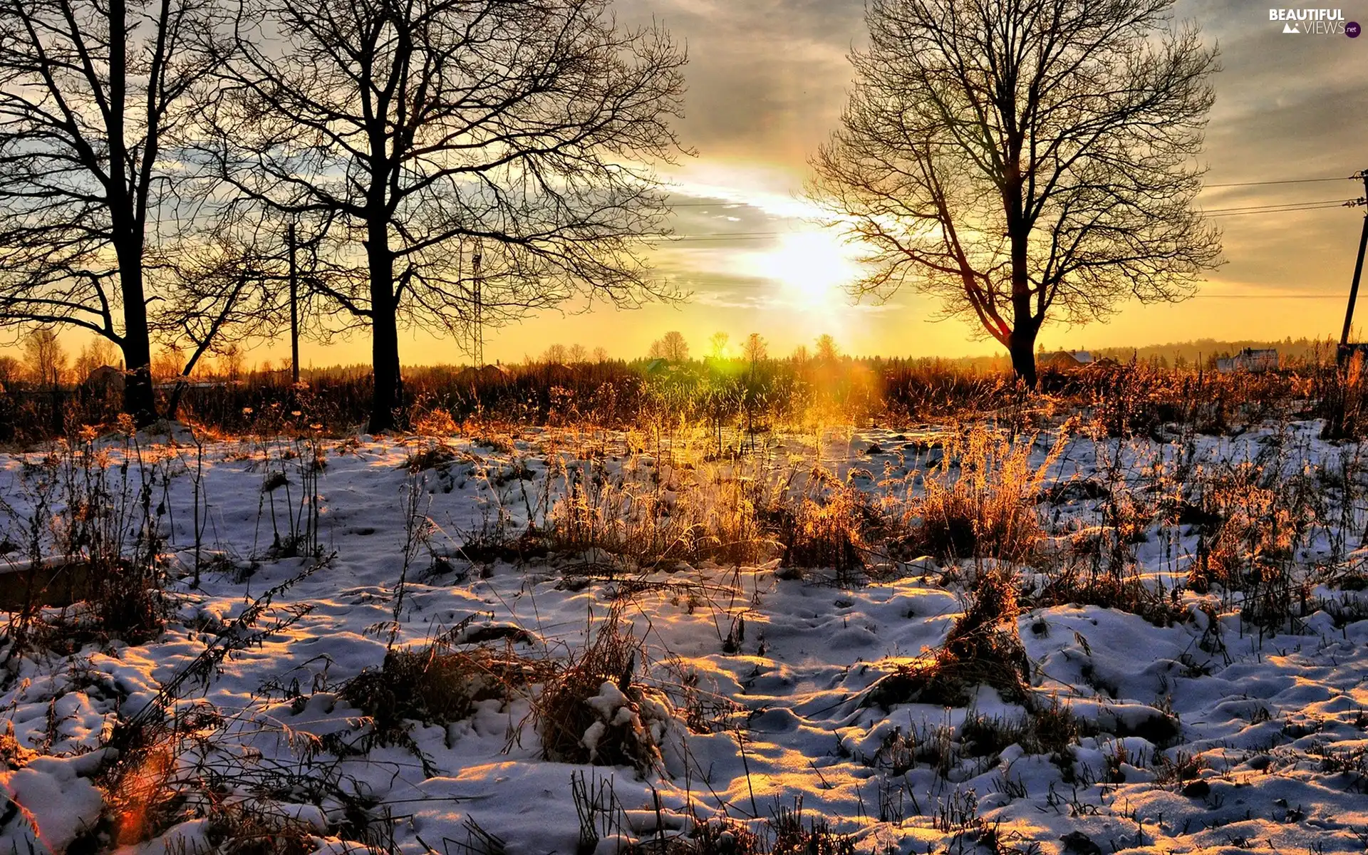 winter, viewes, Great Sunsets, trees