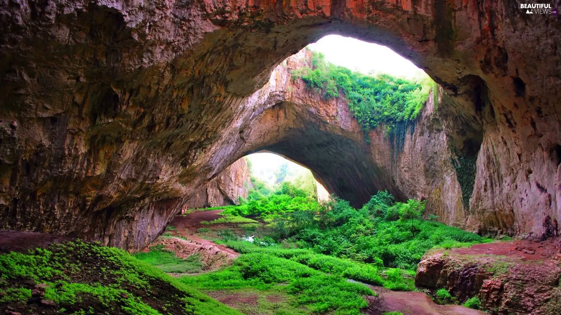 cave, green