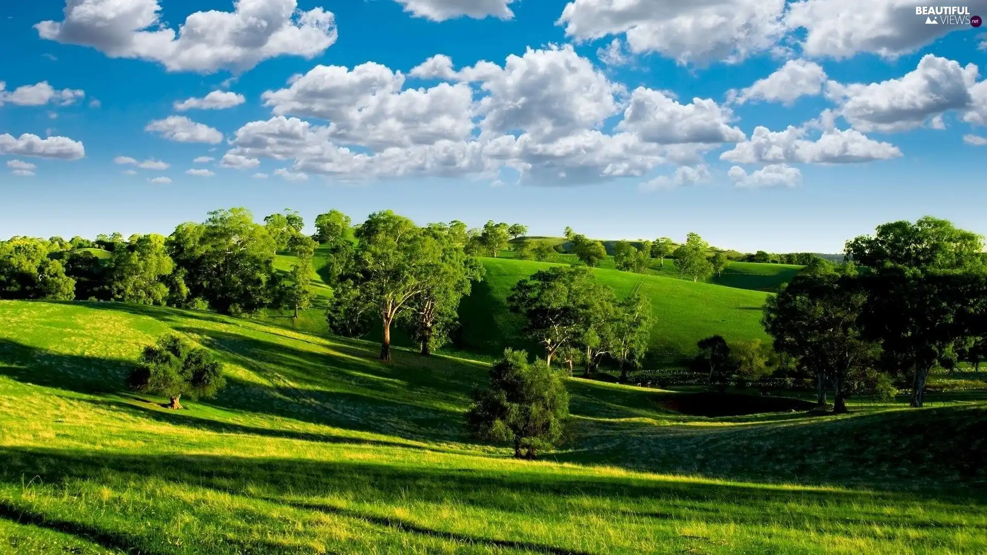 hills, medows, green ones