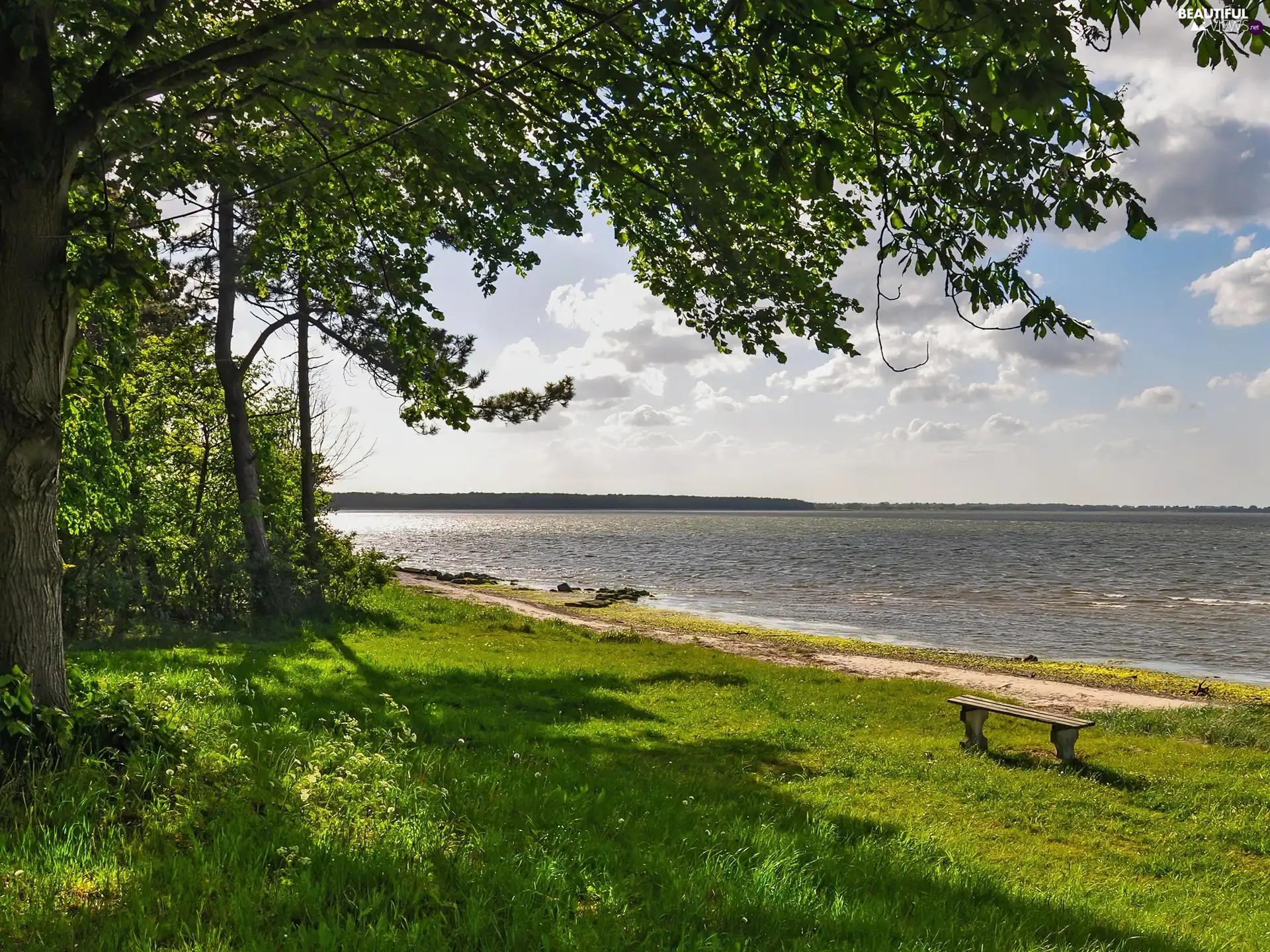 lake, trees, green, Bench