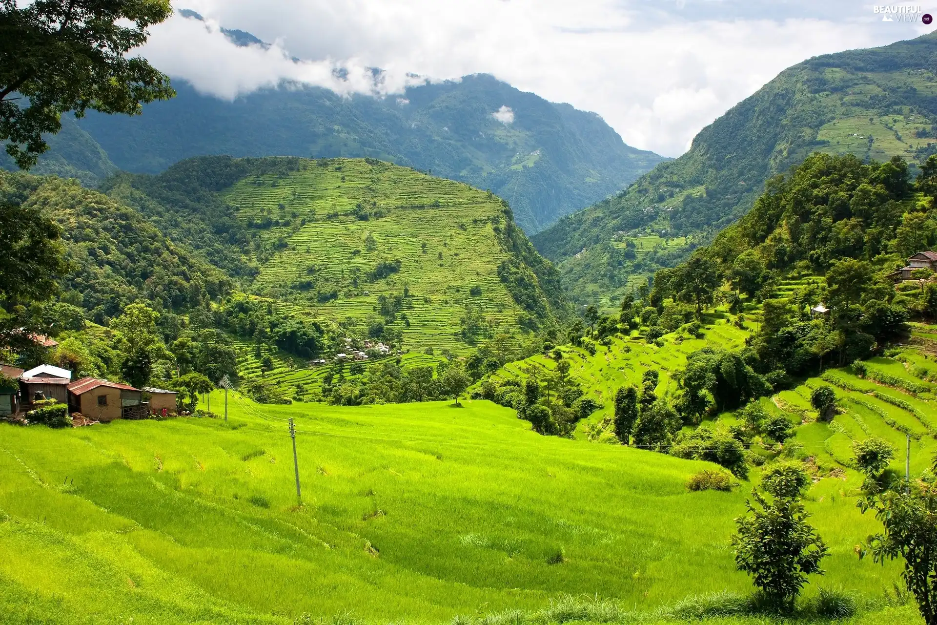 Mountains, green