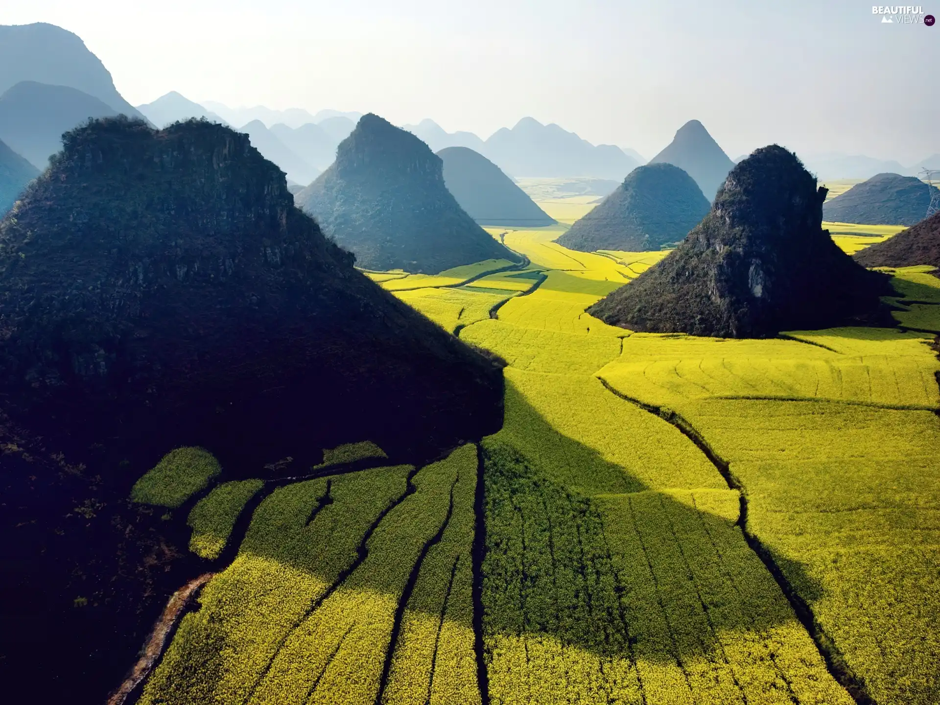 Mountains, cultivated, green, field