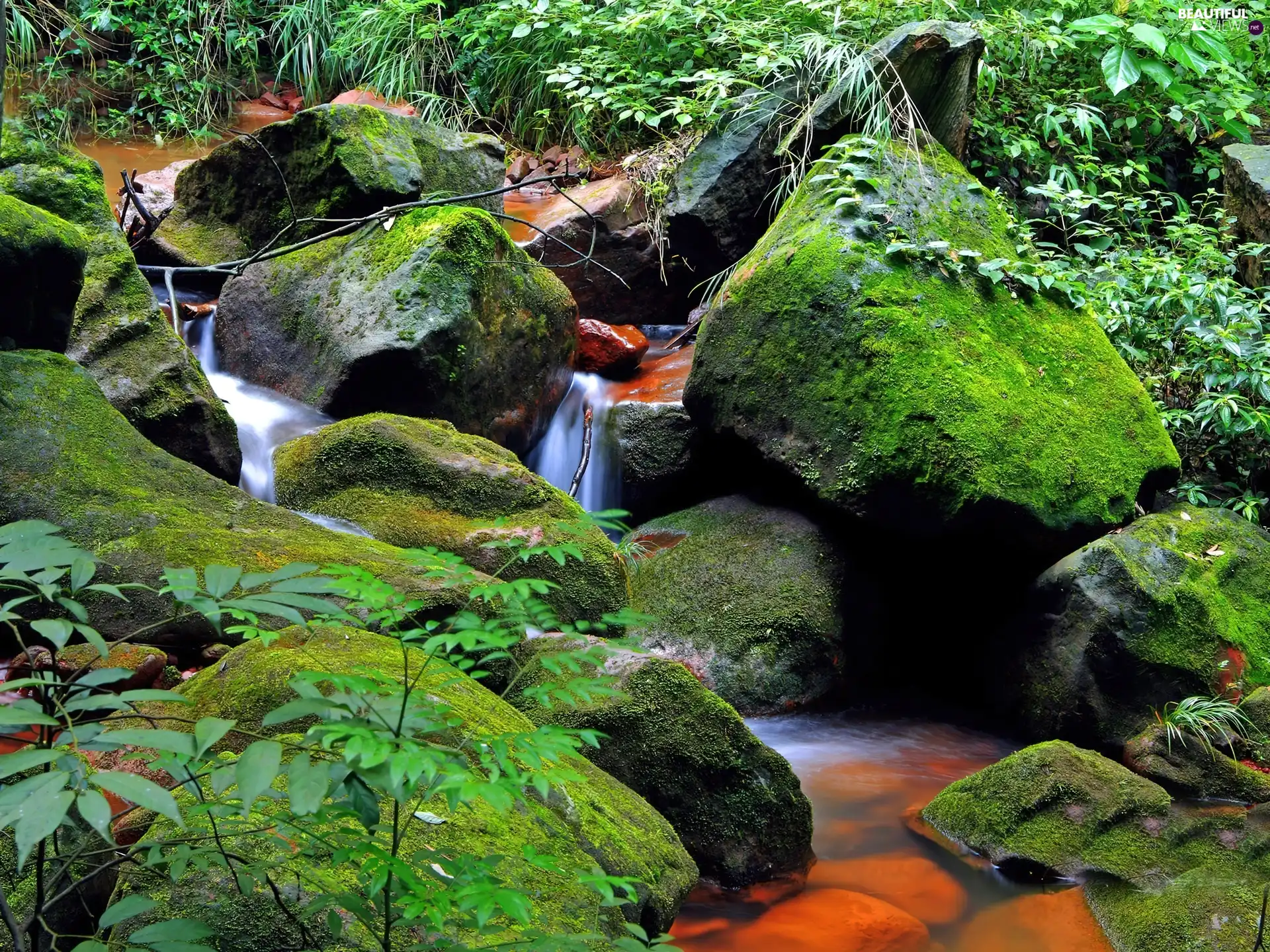 Stones, stream, green, Moss