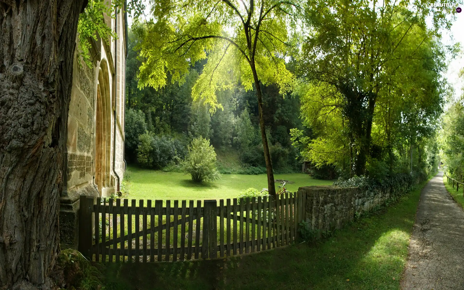 entry, fence, green, the walls