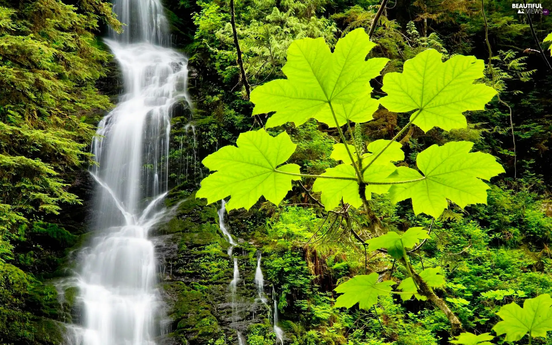 waterfall, green