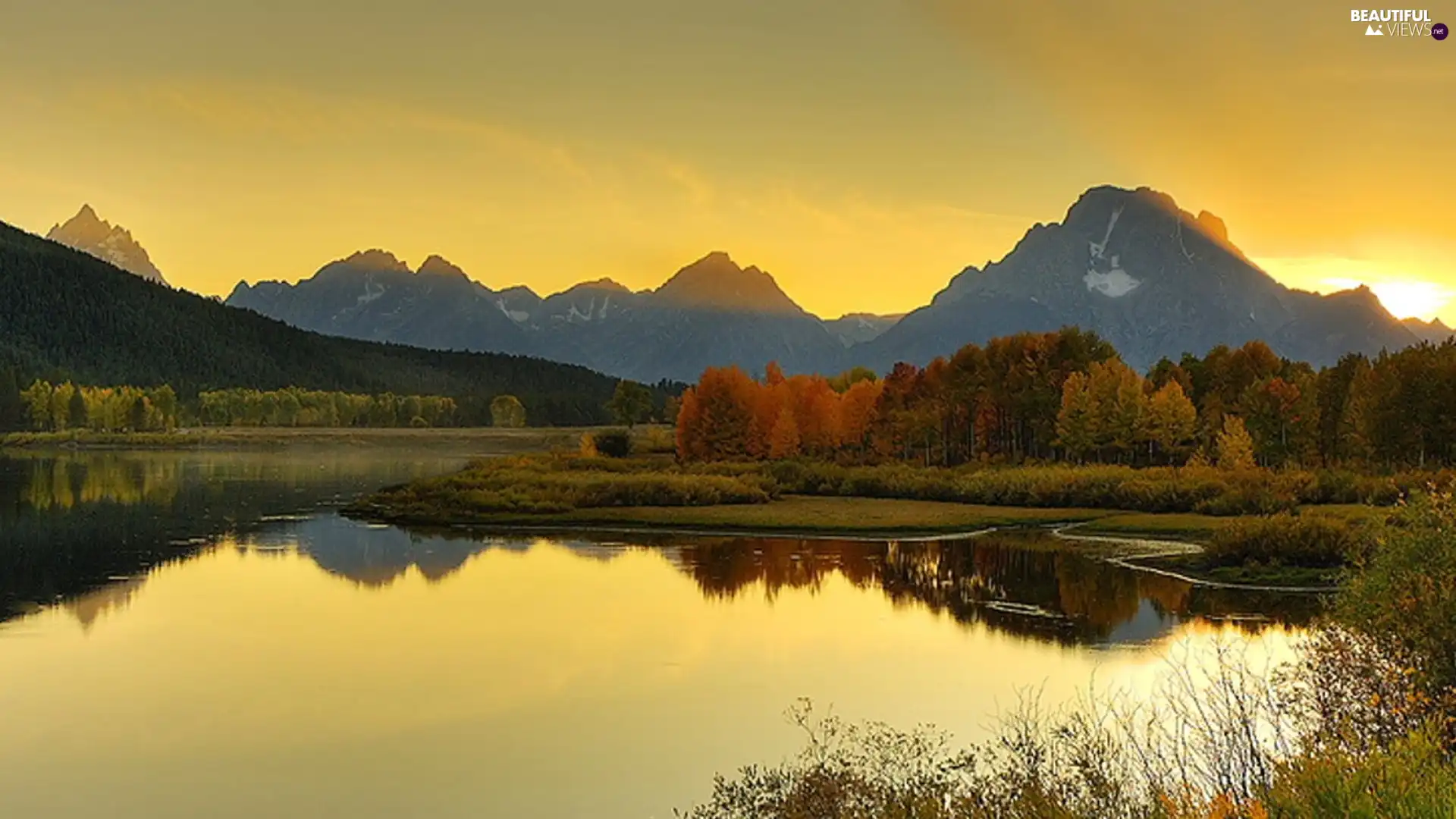 grove, Mountains, lake