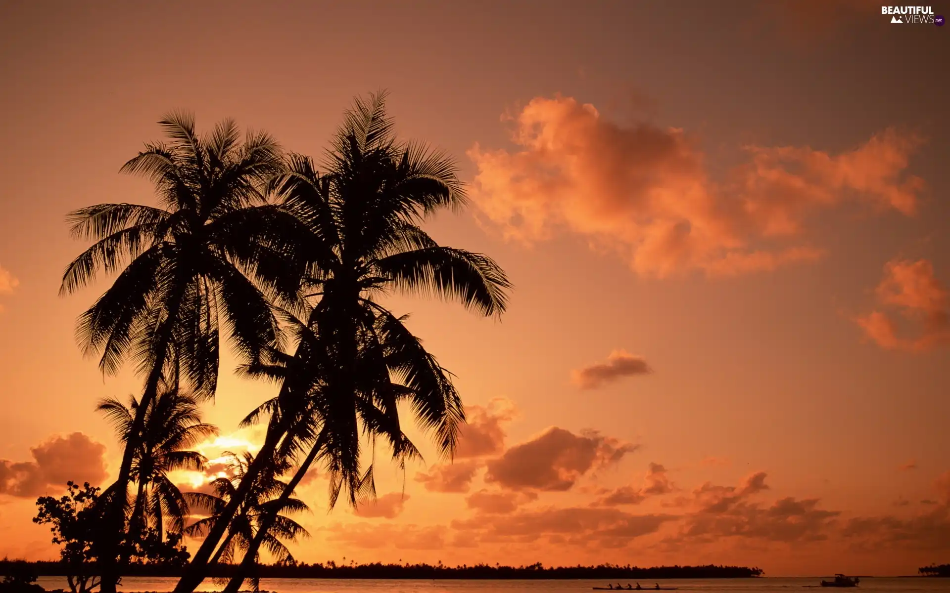 Palms, sun, Gulf, west