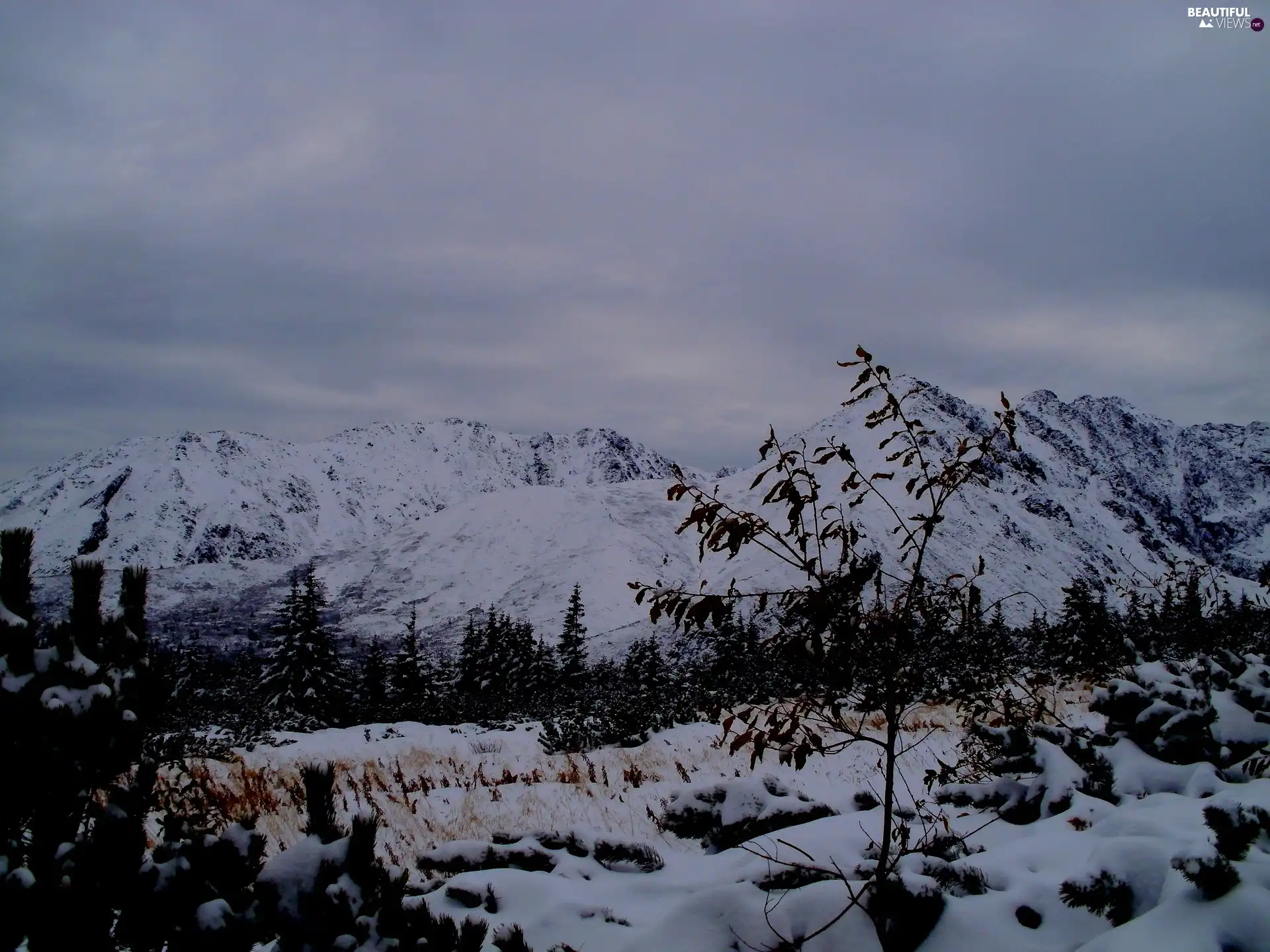 hall, excavator, winter, Tatras, Mountains