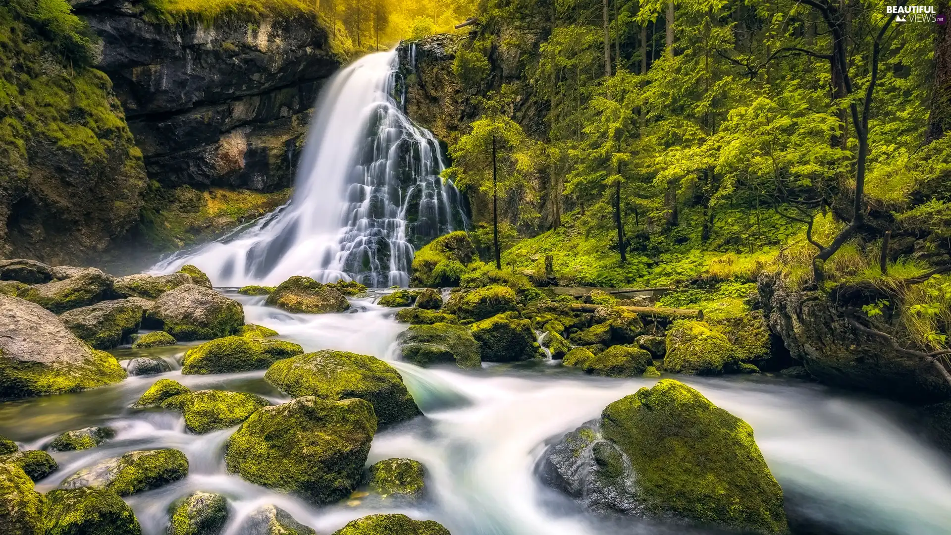 viewes, Gollinger Waterfall, Stones, Salzburg, mossy, forest, River, Austria, hallein District, trees