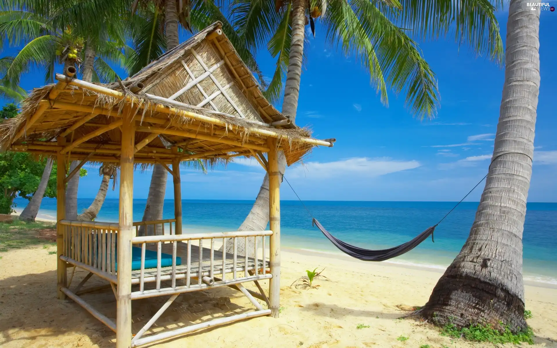 Hammock, Palms, sea, Home, Beaches