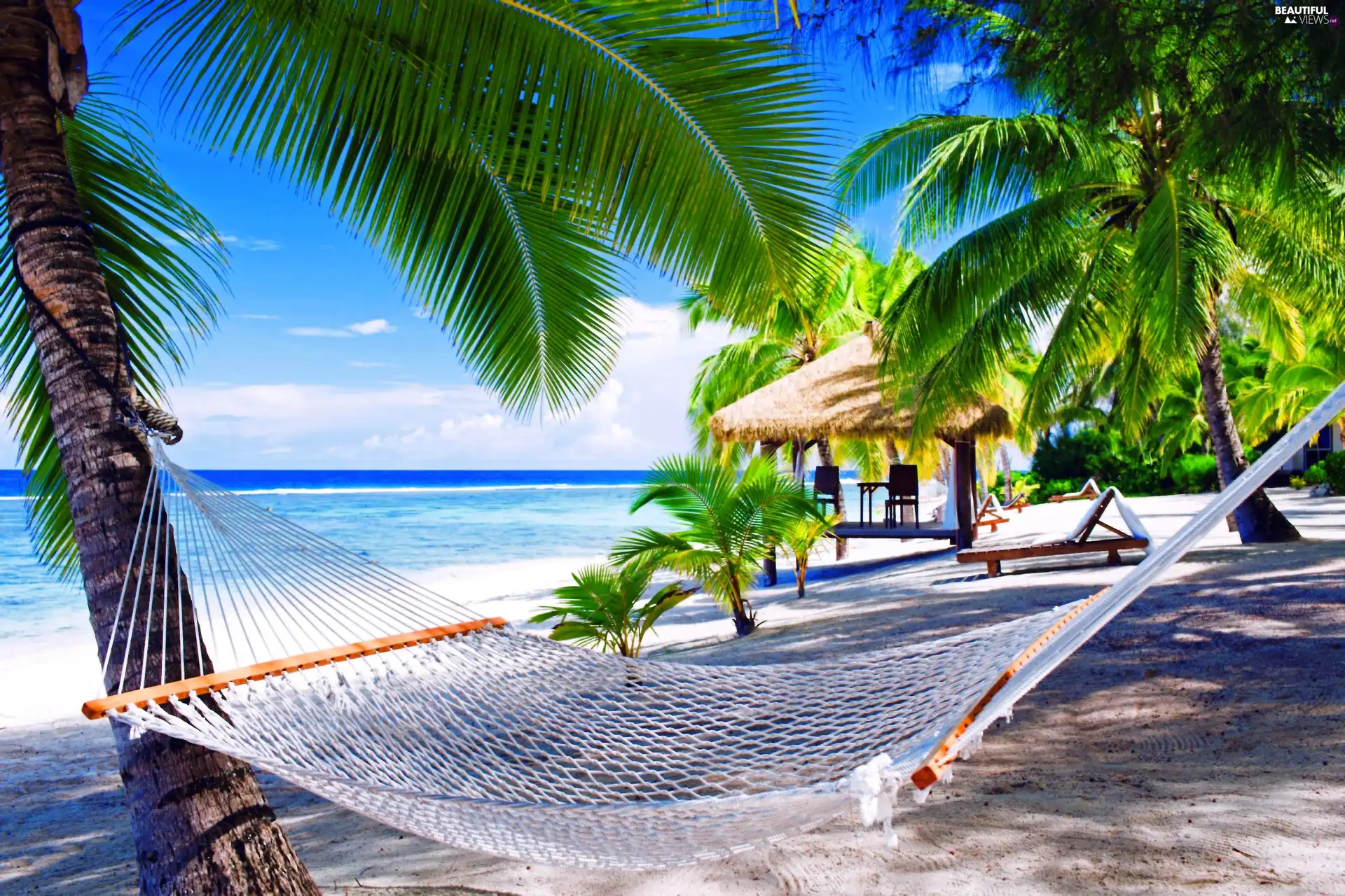 Hammock, sea, Palms