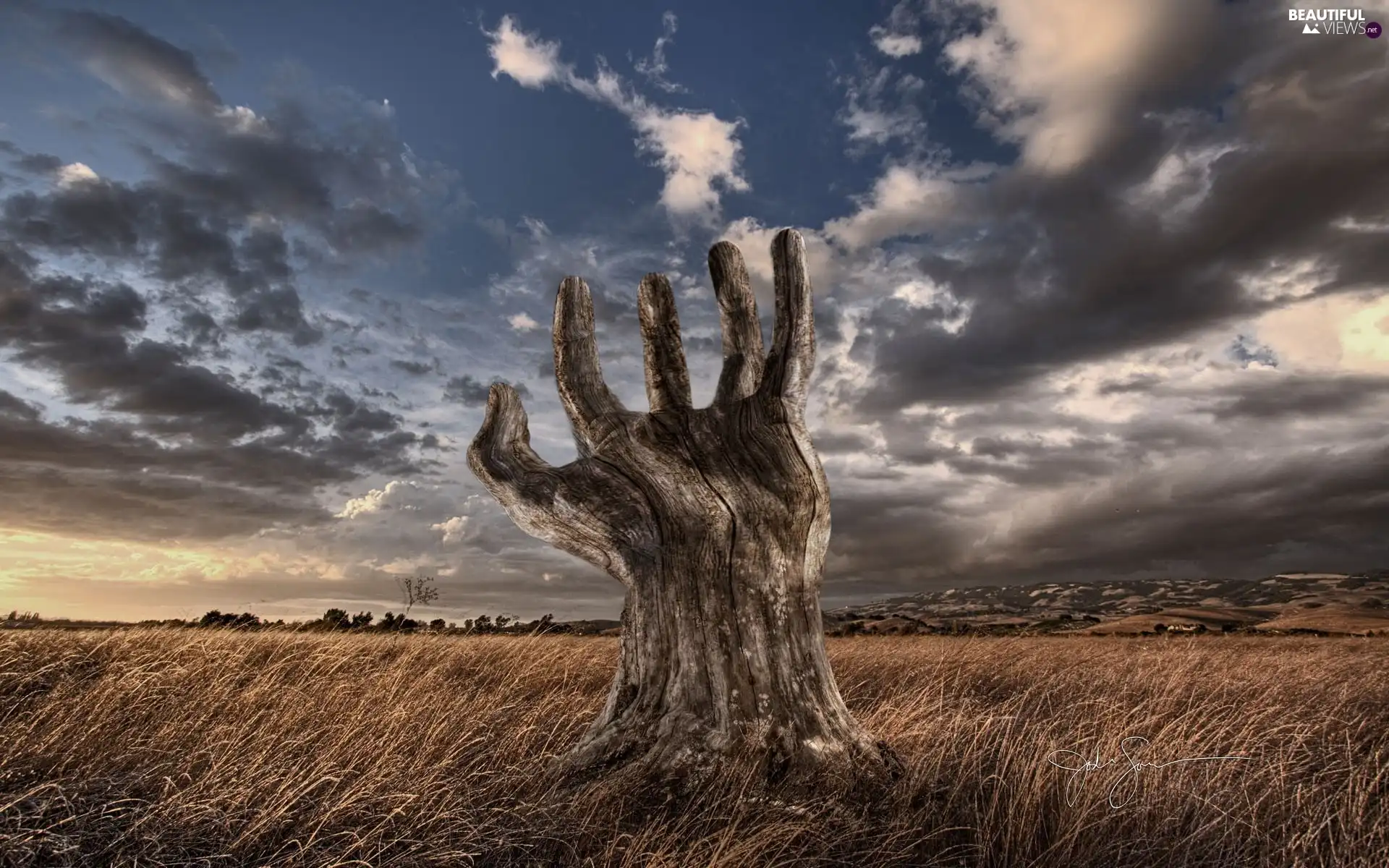 hand, clouds, trees, shape, dry