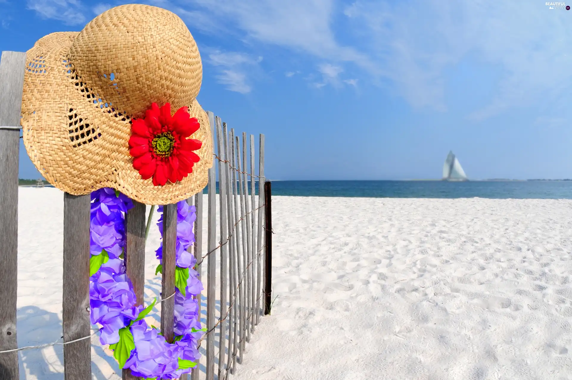 sea, Beaches, Hat, Sand