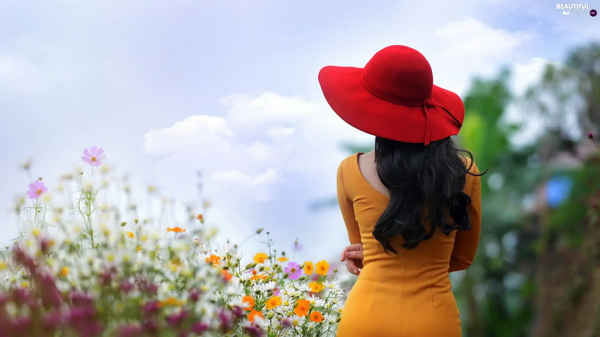 Hat, Spring, Flowers, Women, Meadow