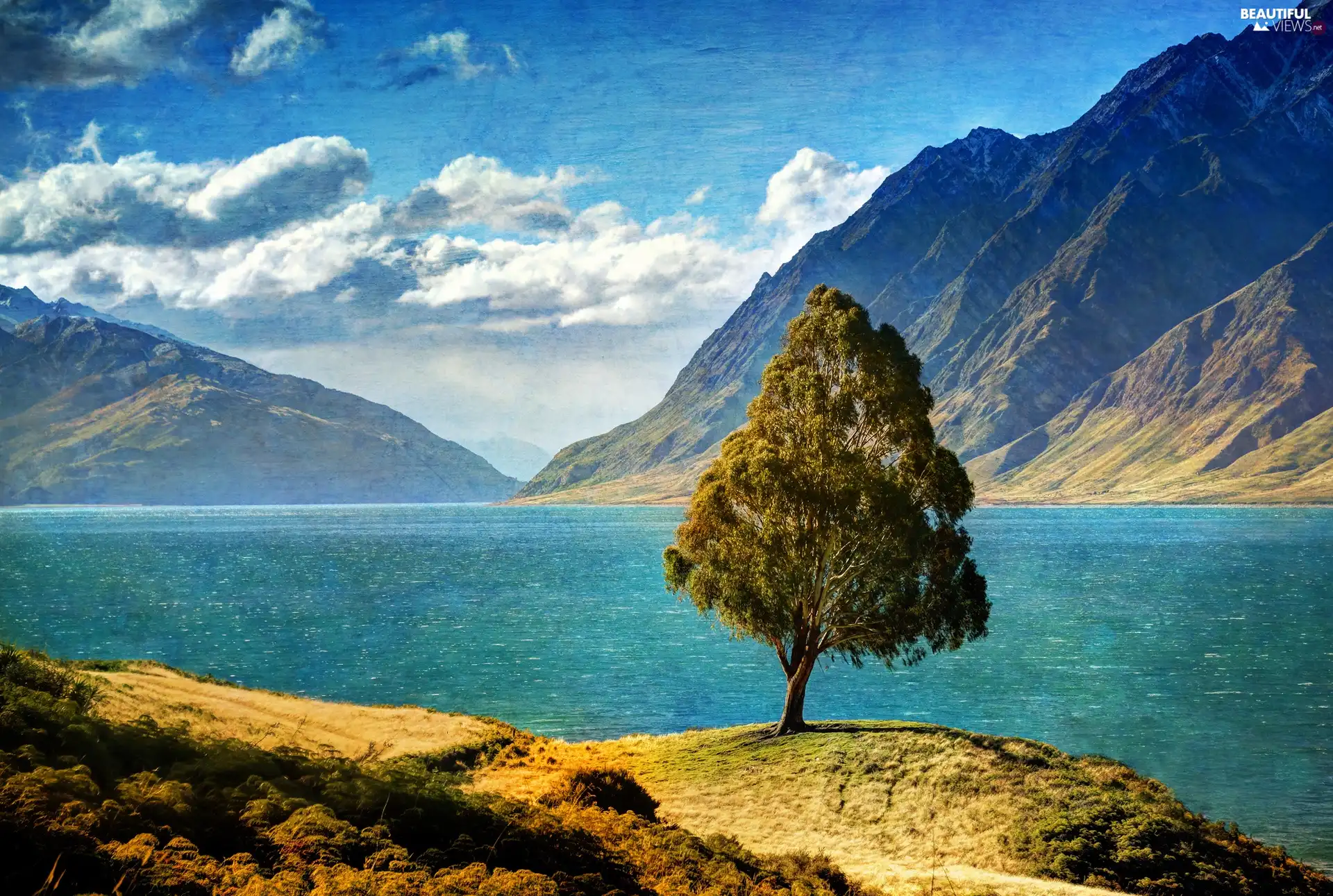 hawea, New Zeland, trees, Mountains, lake