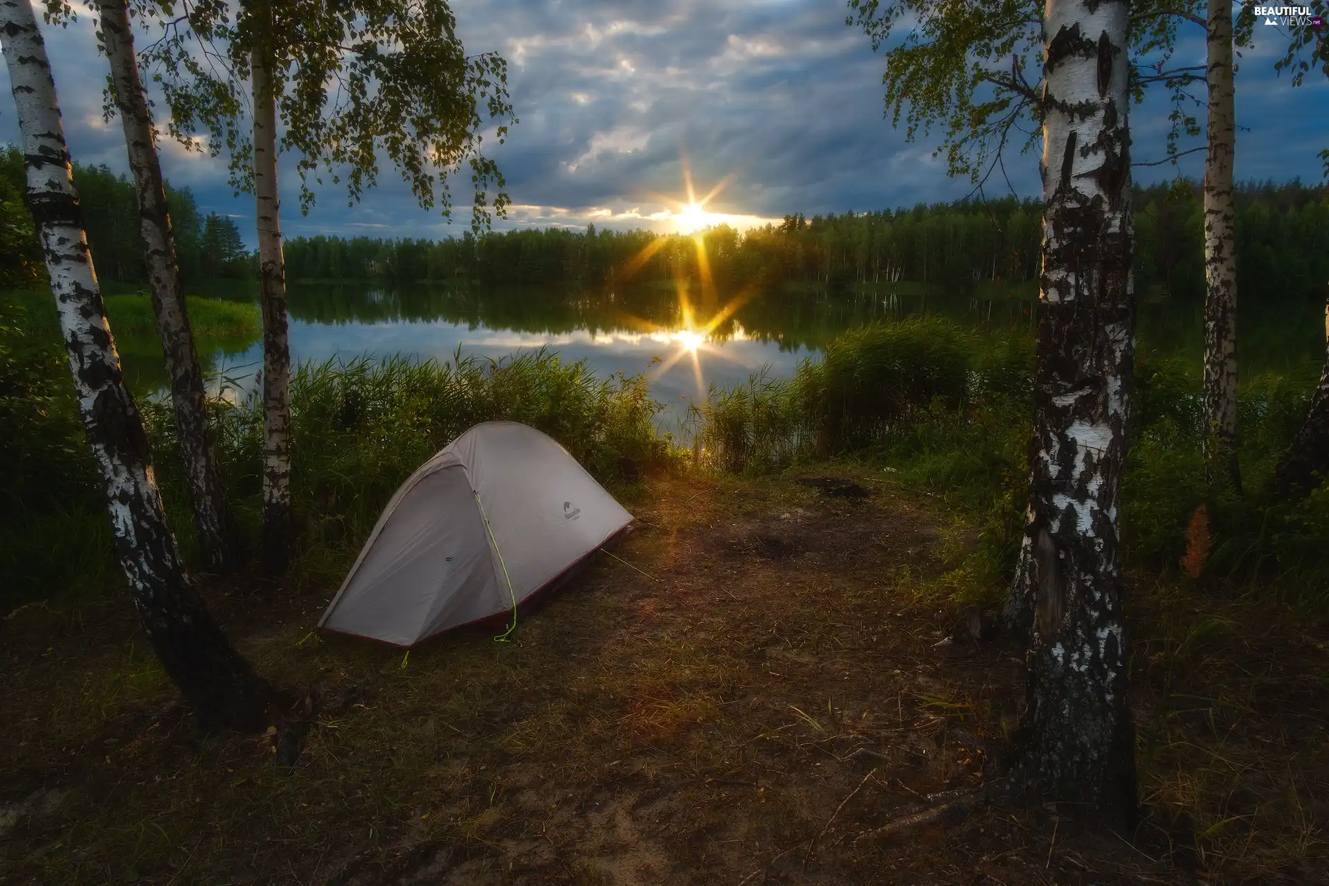 high, grass, Tent, clouds, birch, lake, Great Sunsets, forest