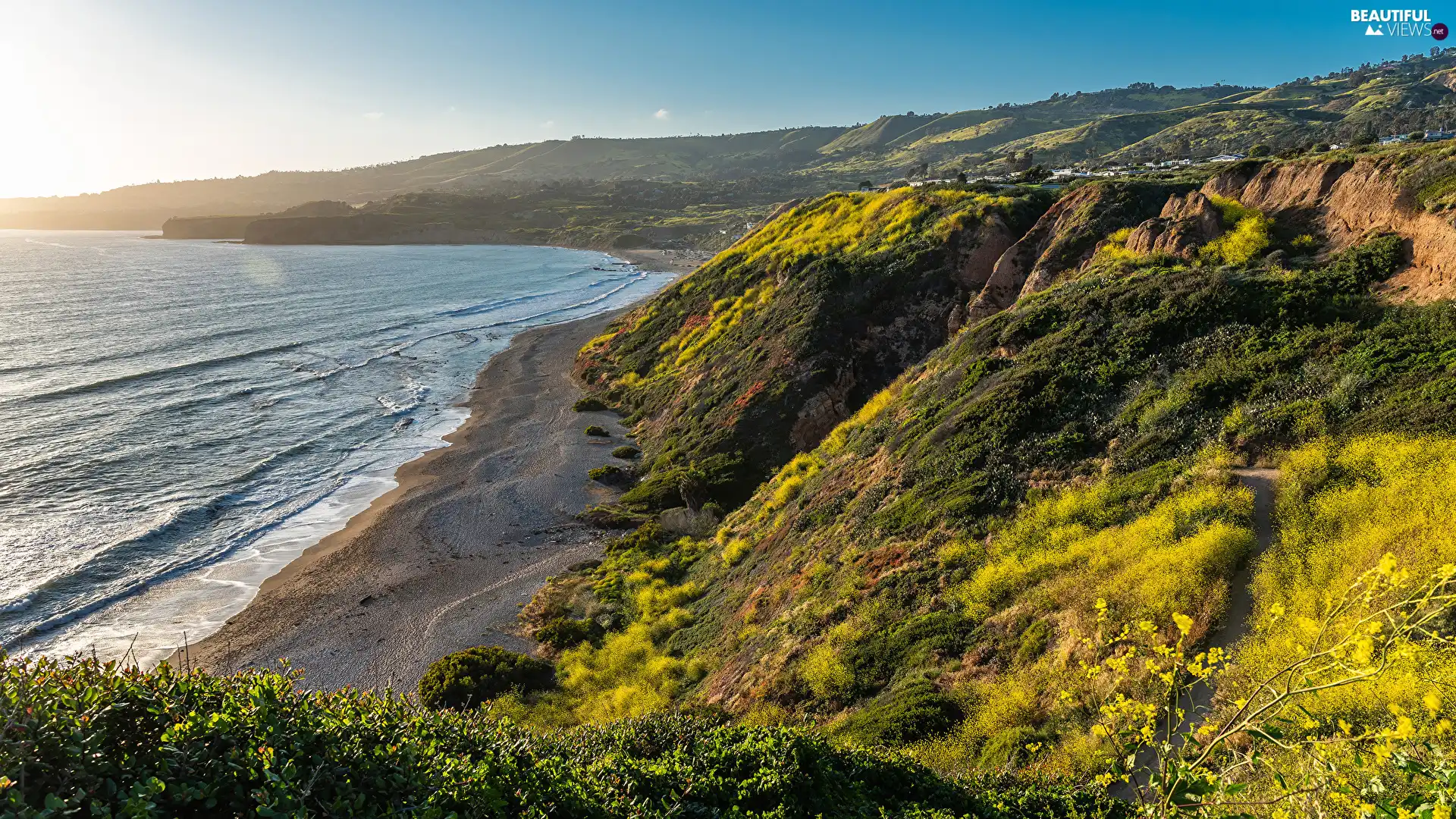 green ones, Coast, Bush, sea, Plants, The Hills