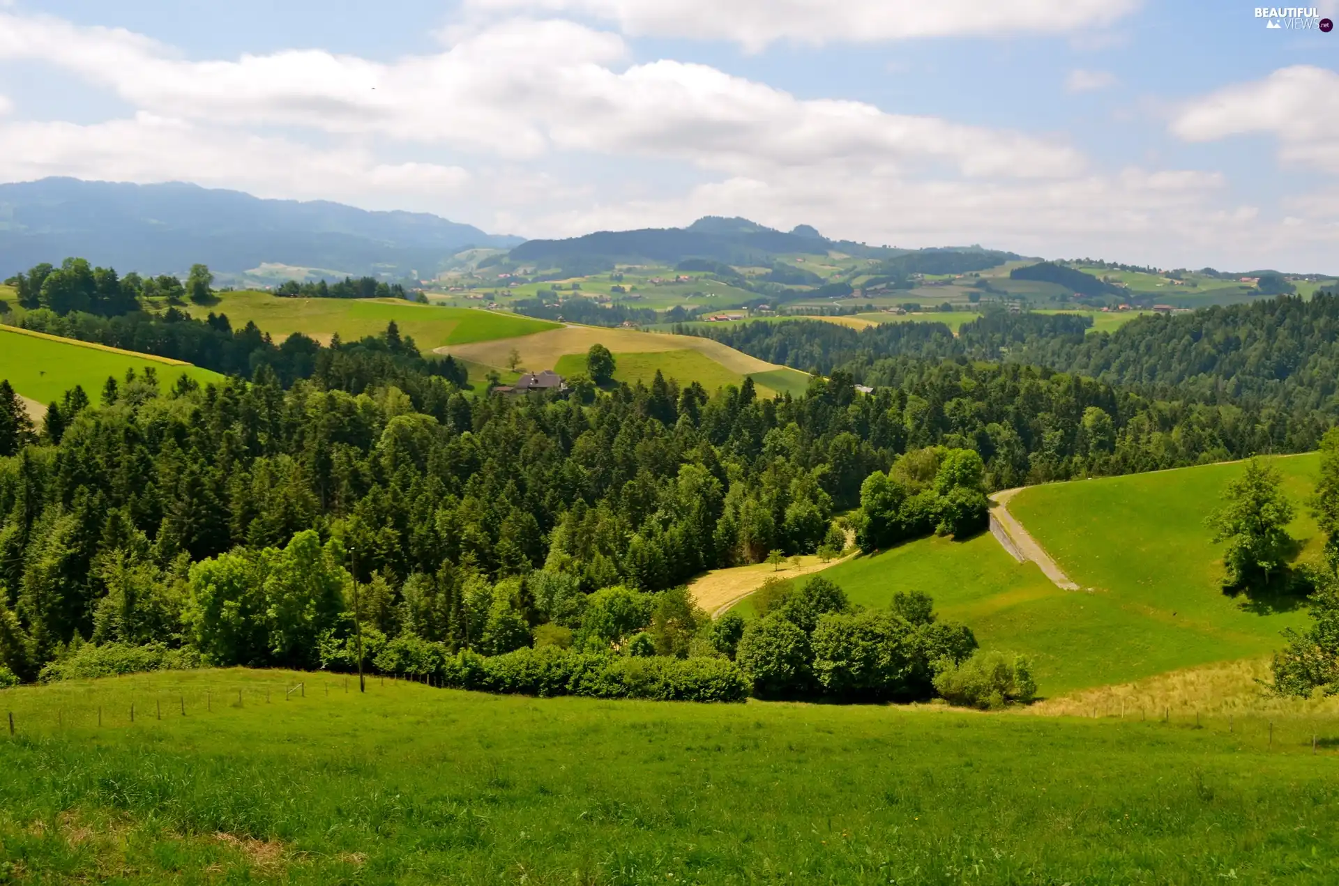 hills, Meadow, forest - Beautiful views wallpapers: 2205x1460