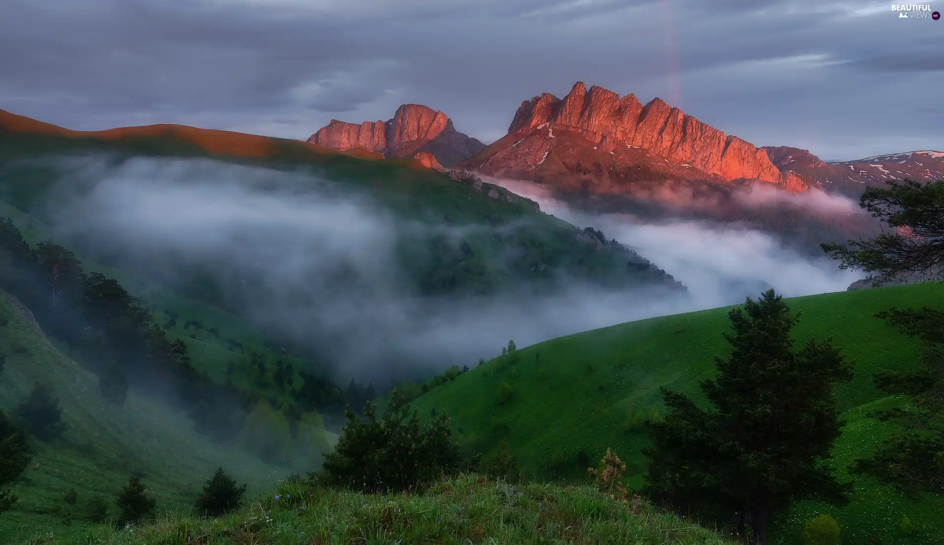 viewes, Fog, The Hills, trees, Mountains