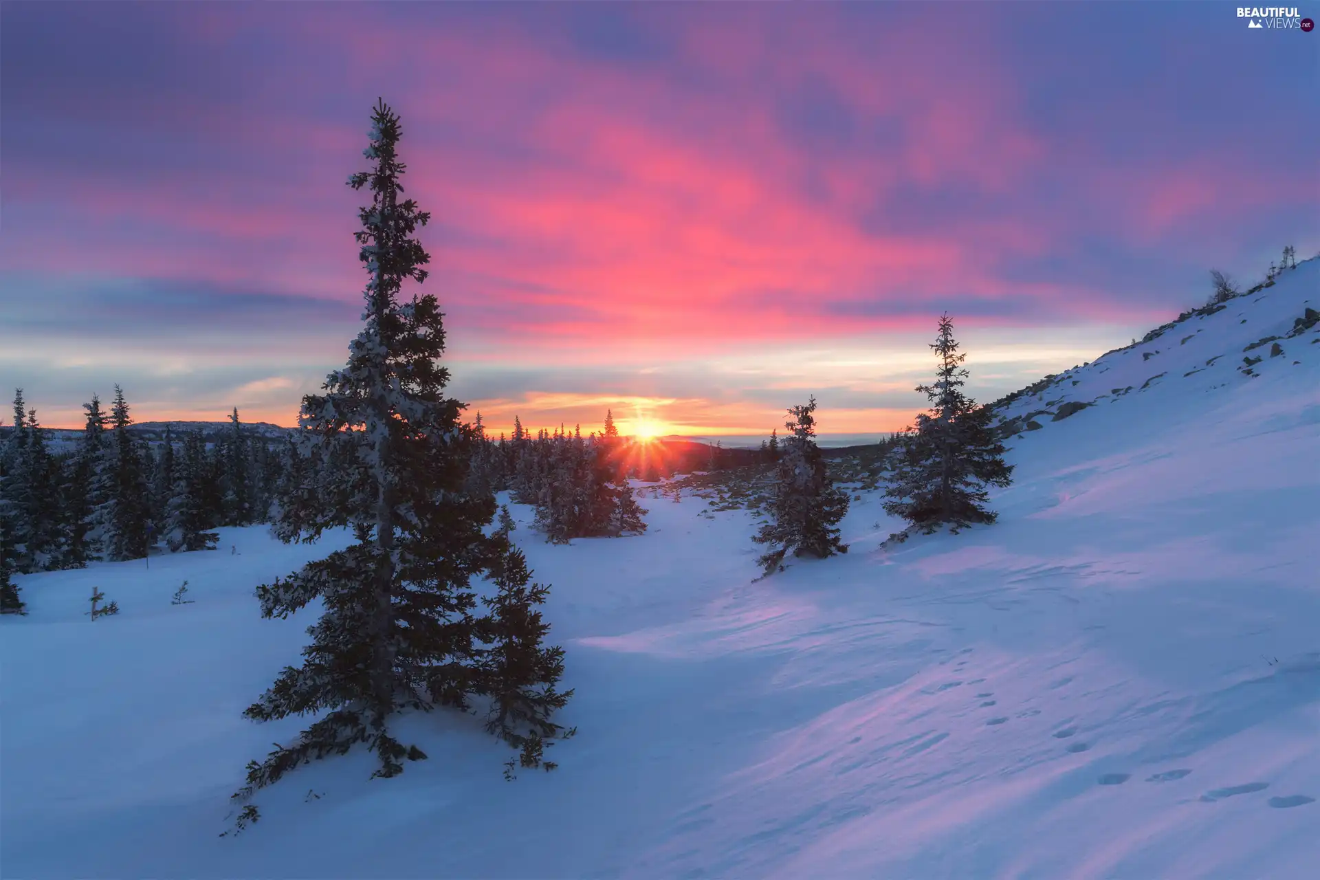trees, winter, rays, Great Sunsets, viewes, The Hills