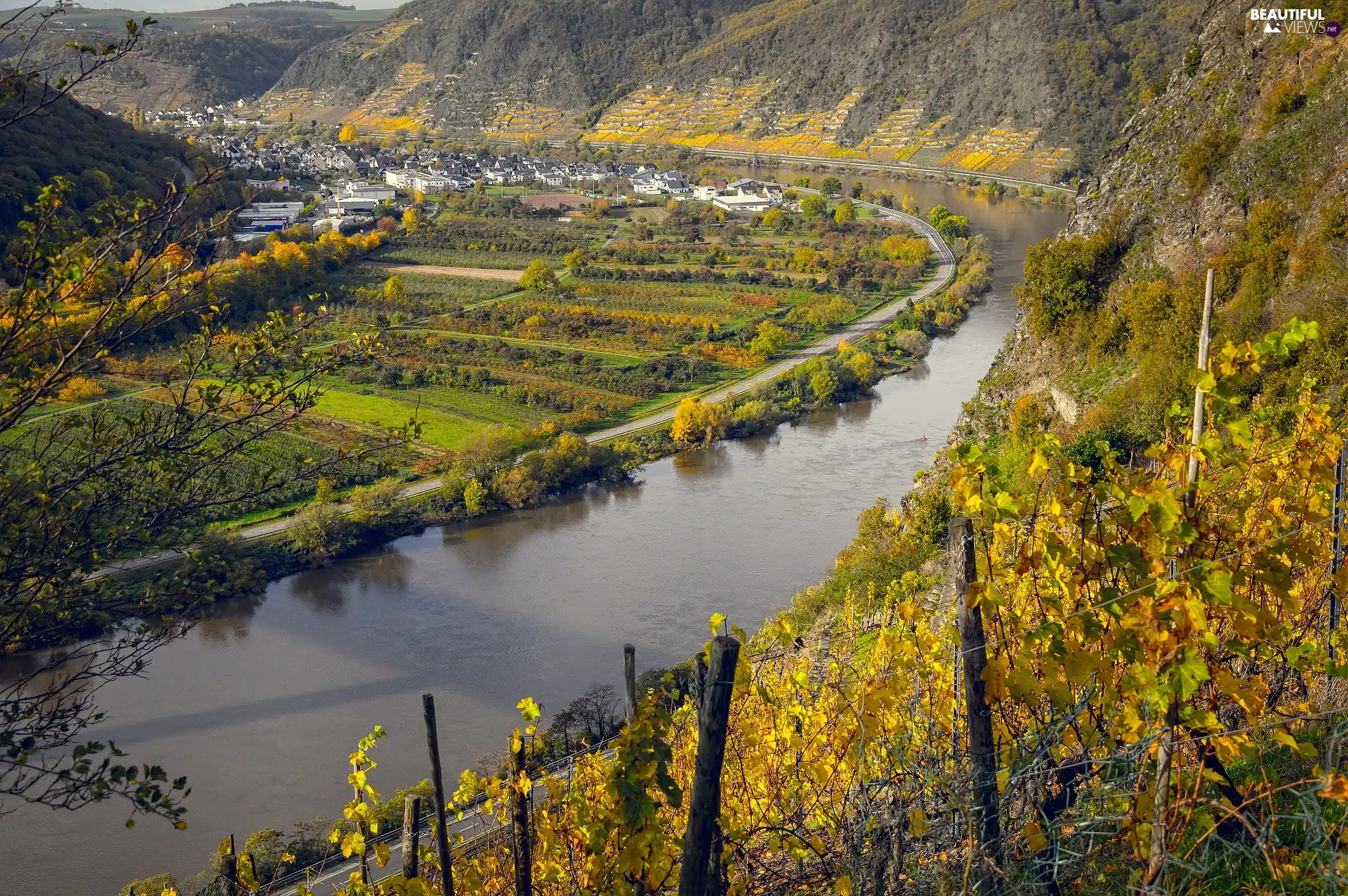 autumn, Germany, The Hills, vineyards, Moselle River