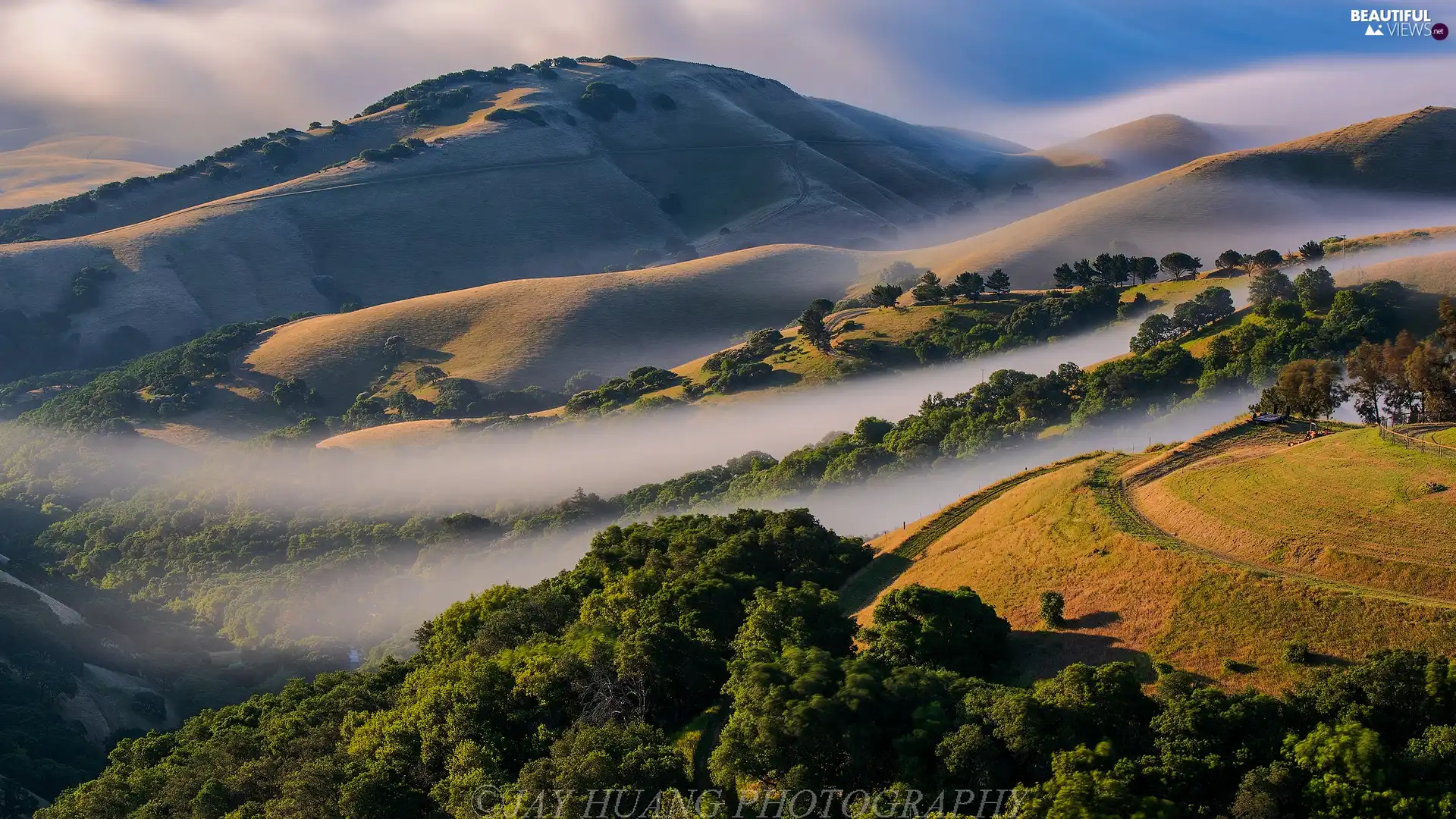 Fog, Mountains, viewes, The Hills, trees, The Hills