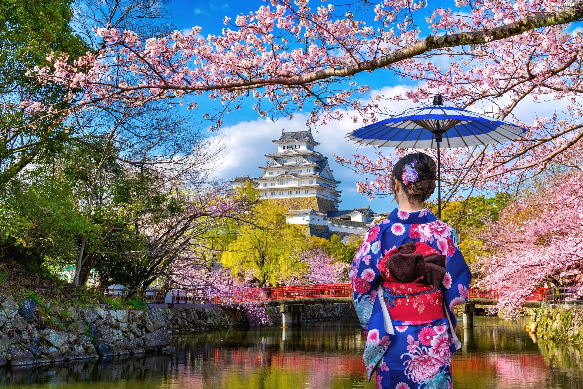 Women, Himeji Castle, Spring, umbrella, trees, Japan, Himeji Village, River, White Heron Castle, viewes, flourishing