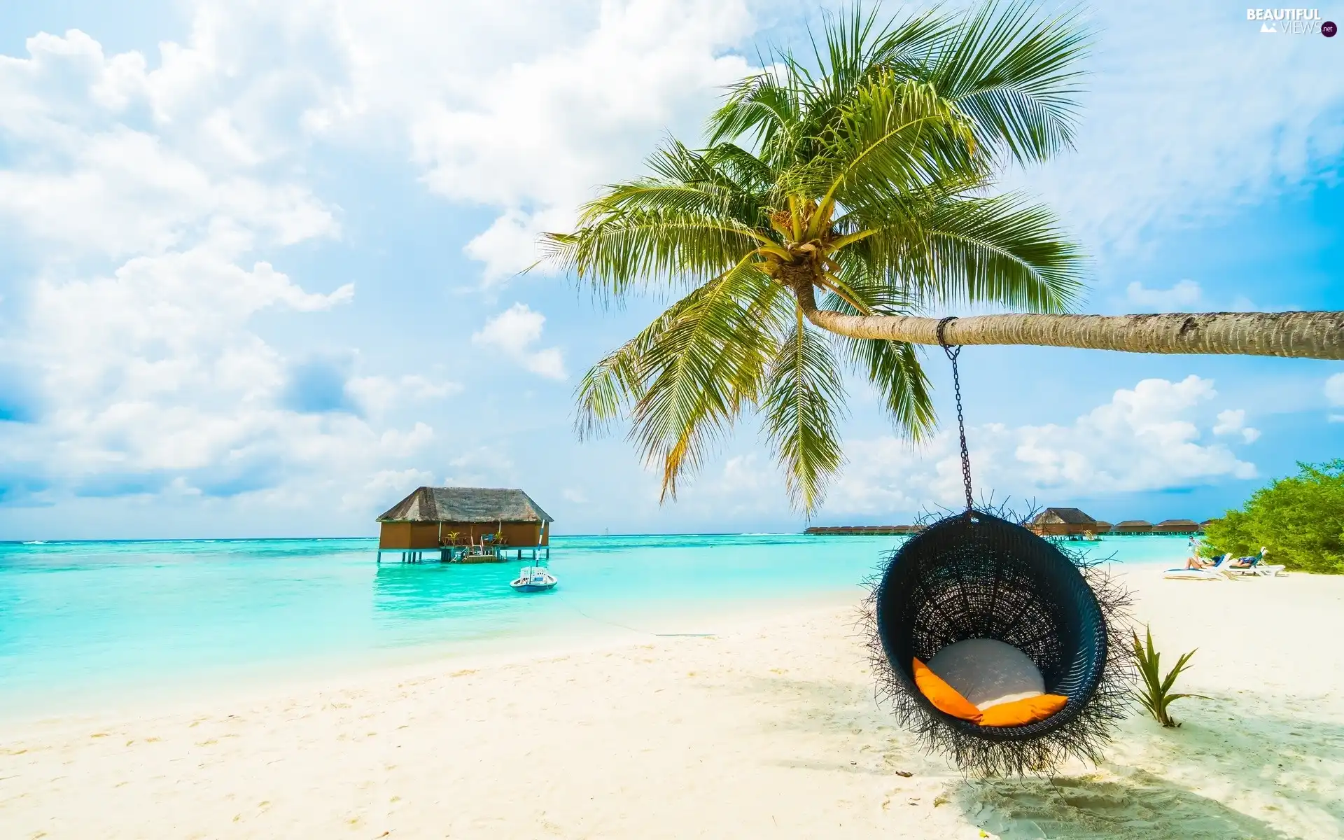 Palm, sea, basket, Home, Beaches, Swing, holiday