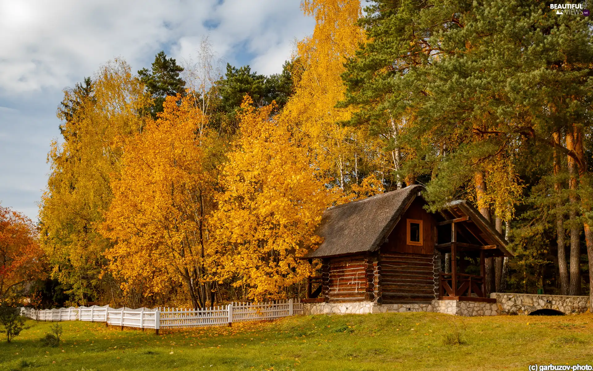 viewes, forest, Fance, wooden, White, trees, autumn, Home