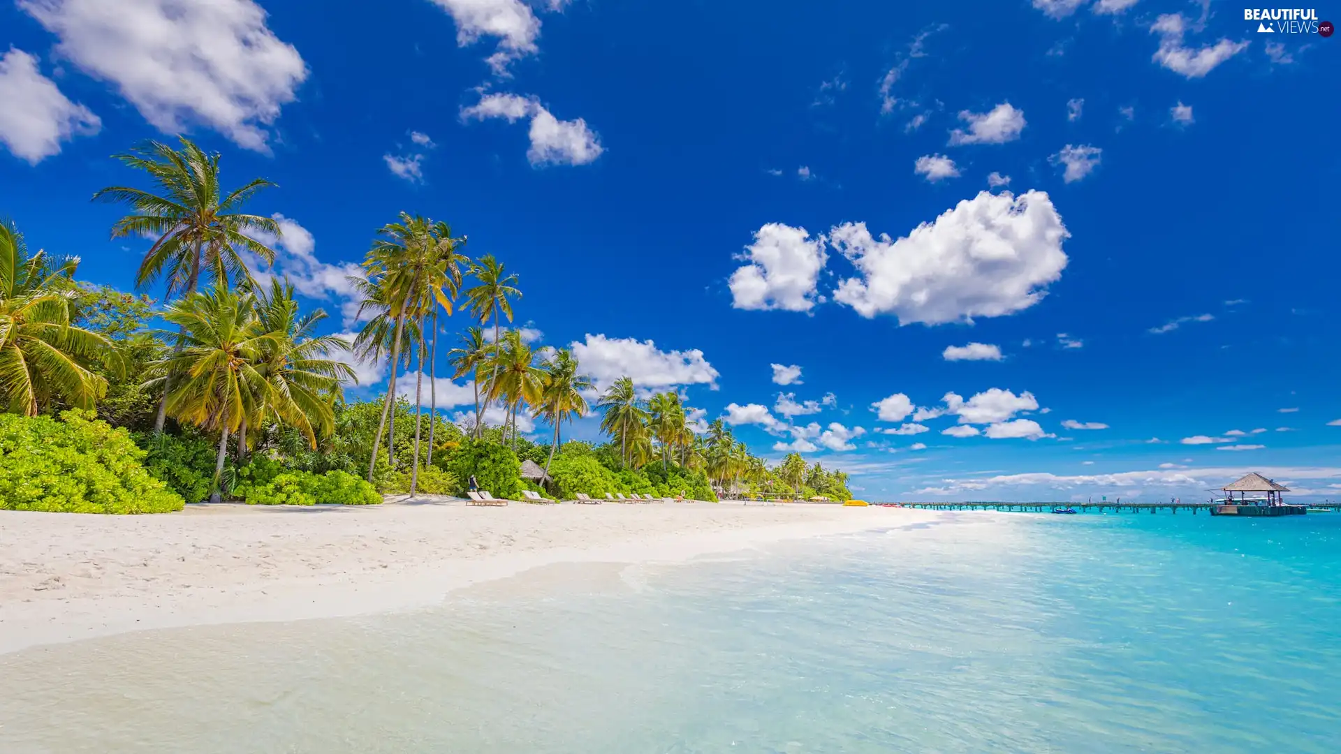 Palms, Home, sea, Beaches, Maldives