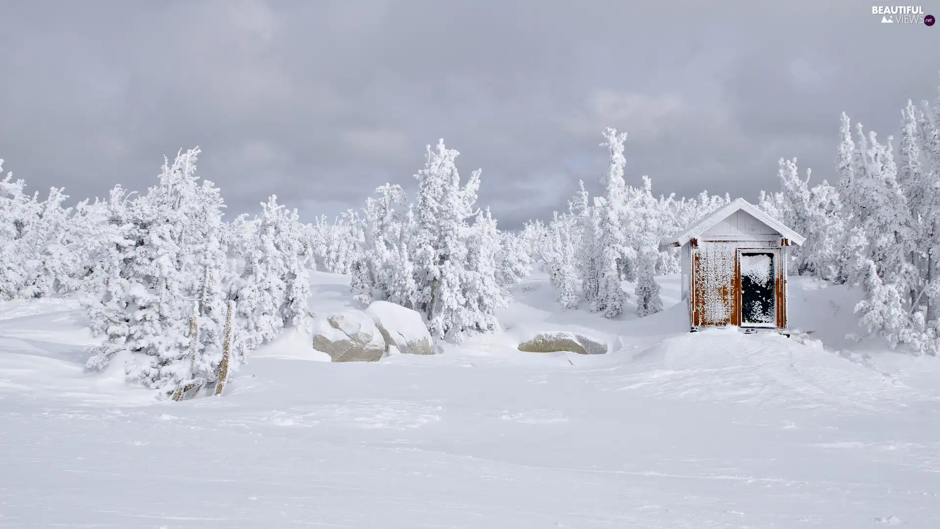 trees, winter, Stones, Home, viewes, Snowy