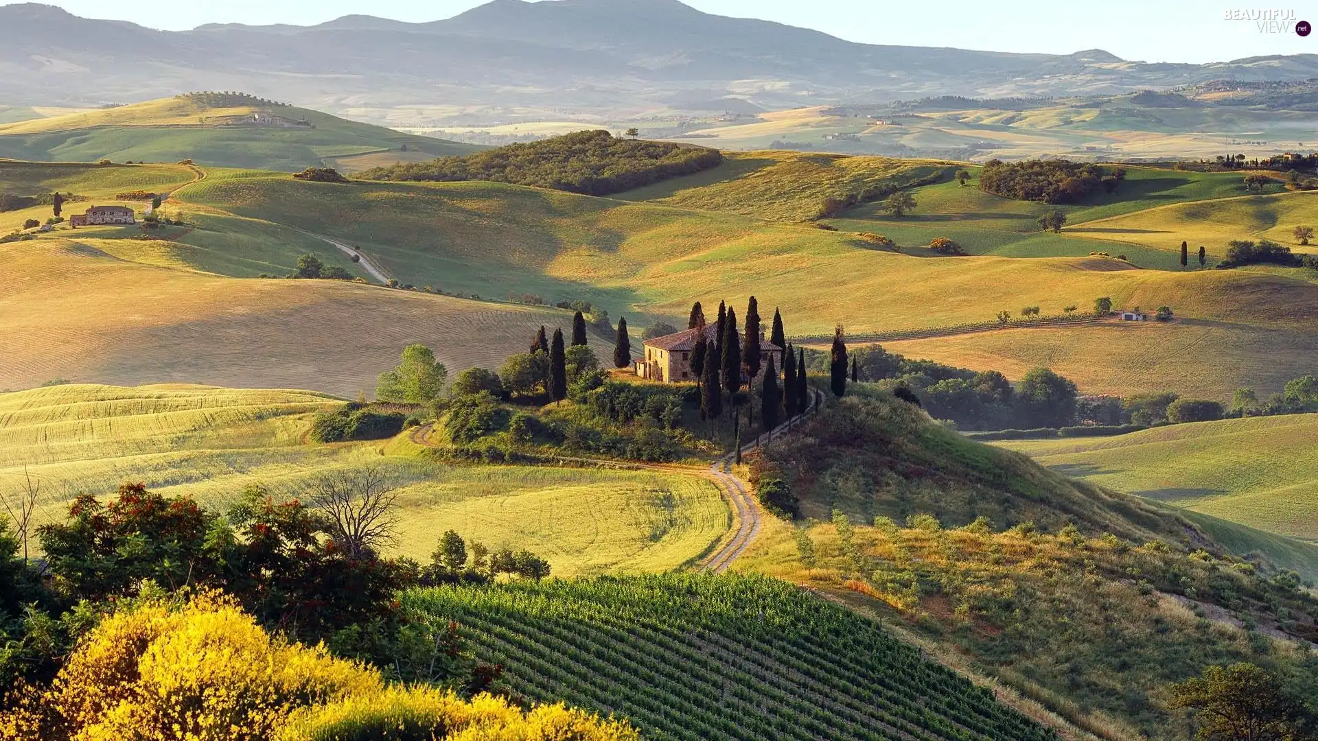 house, trees, Italy, viewes, Tuscany, grass, field, The Hills