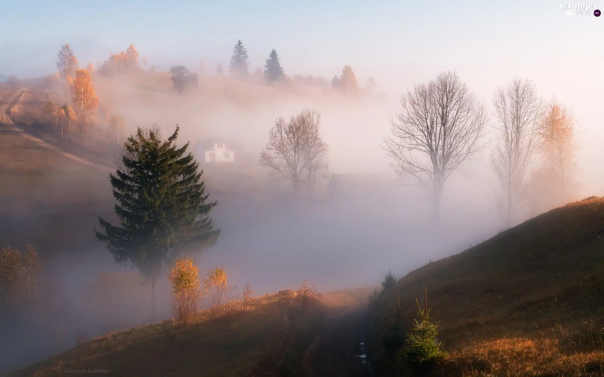 viewes, autumn, Fog, house, The Hills, trees