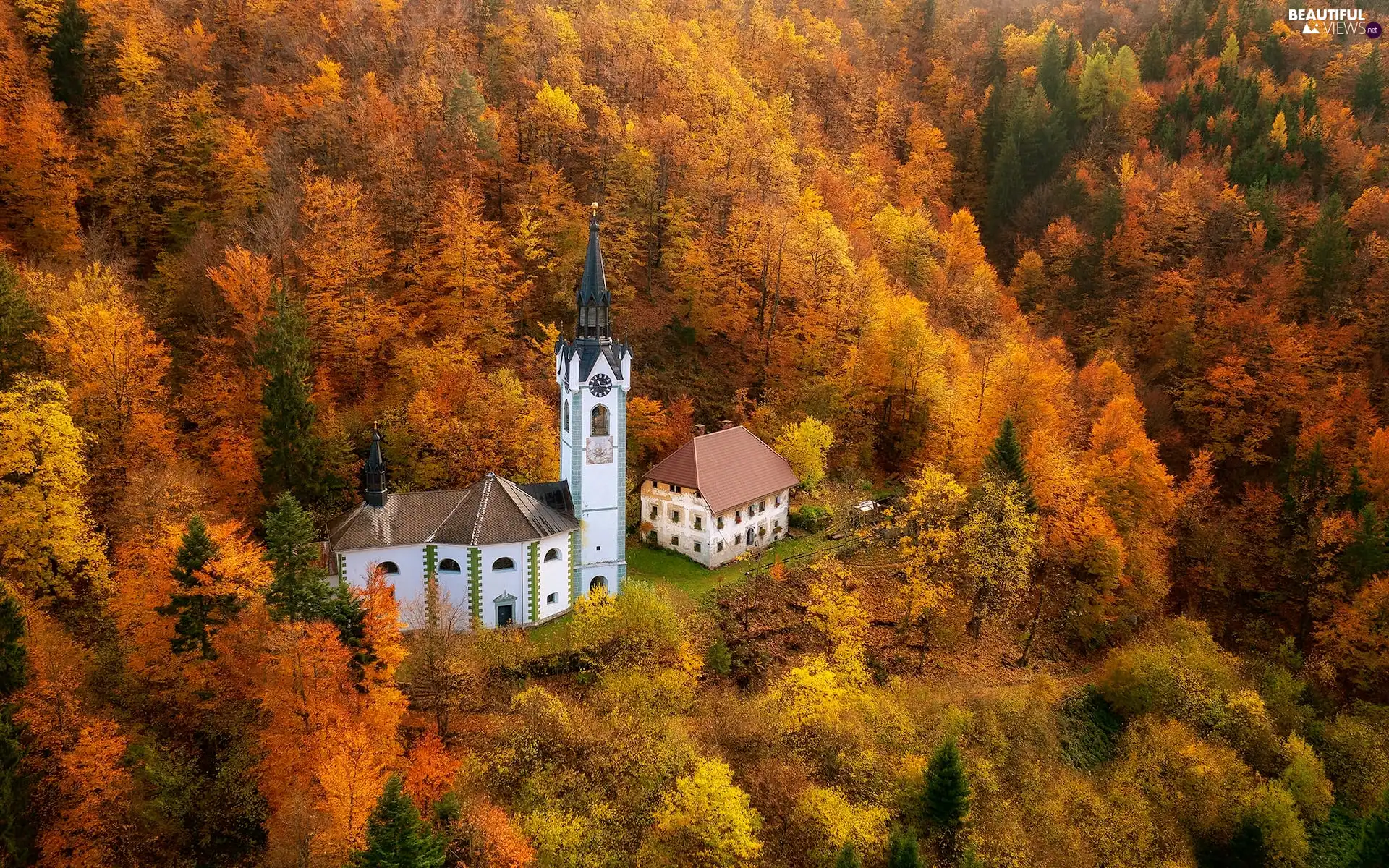 viewes, forest, Church, house, autumn, trees