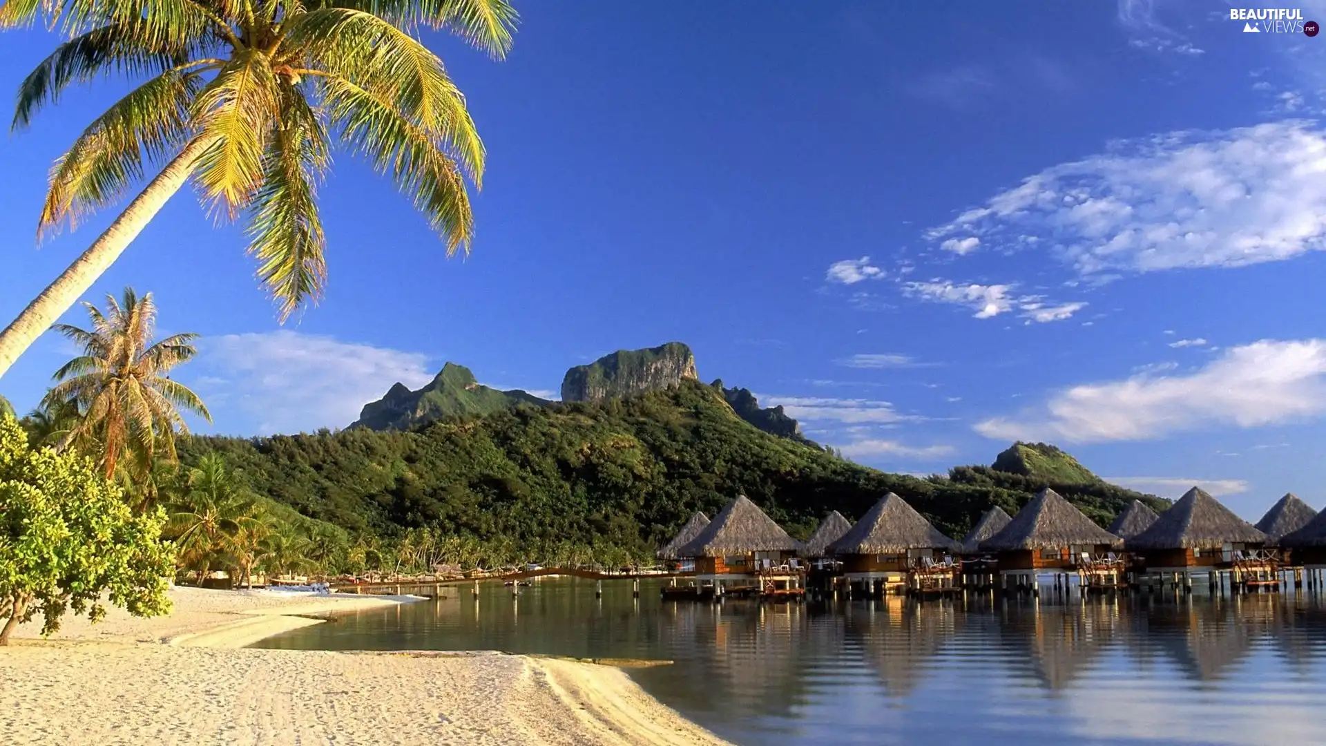 Beaches, Mountains, Houses, Palms