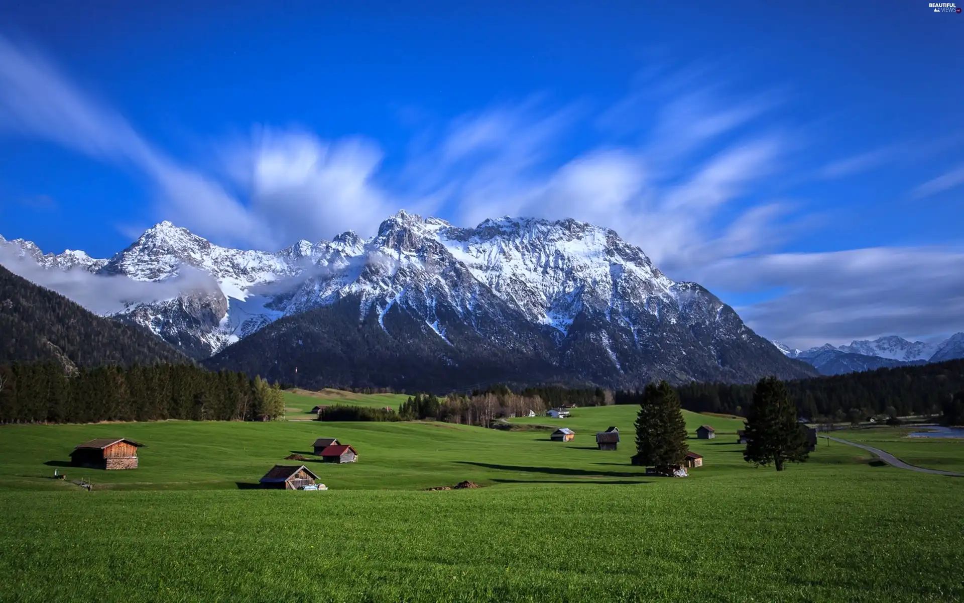 Houses, country, Alps, medows, Mountains