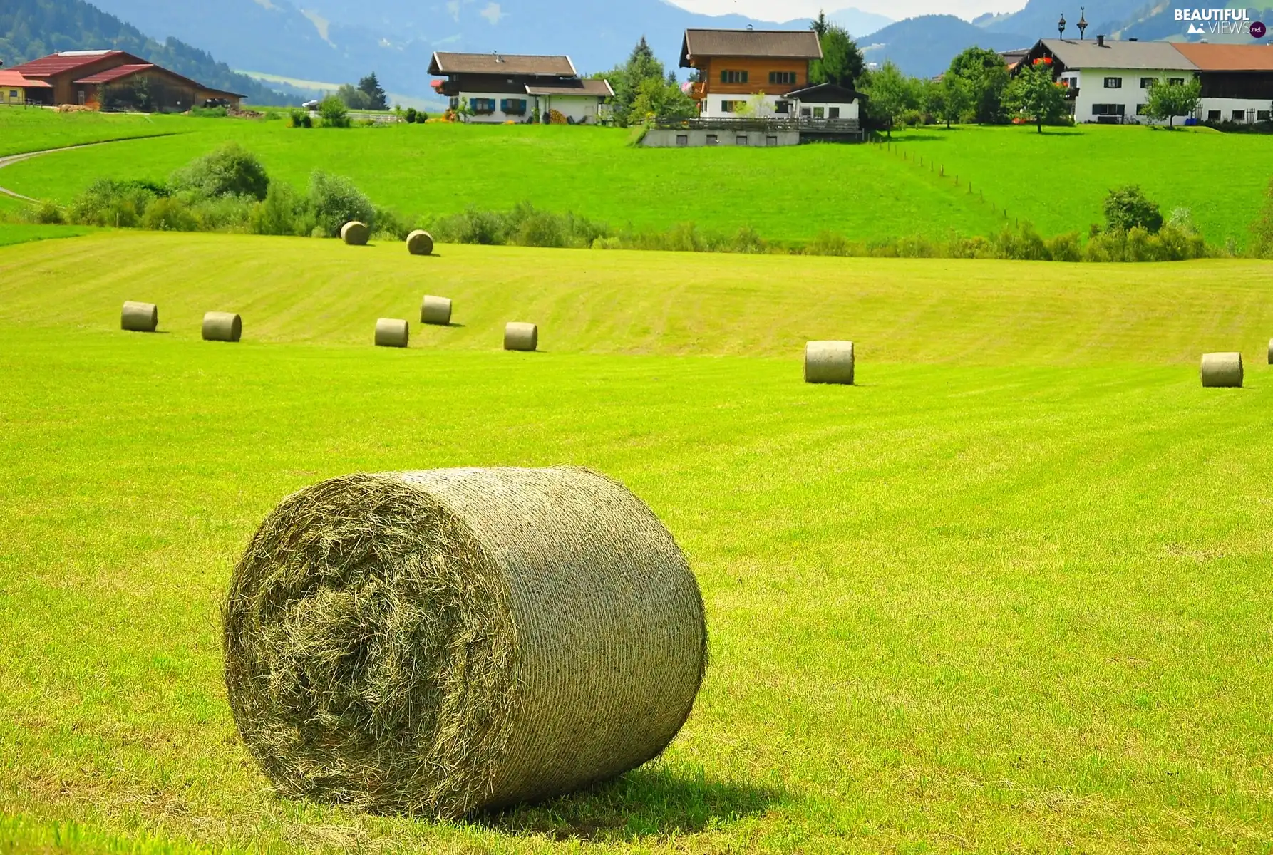 Houses, Field, Hay