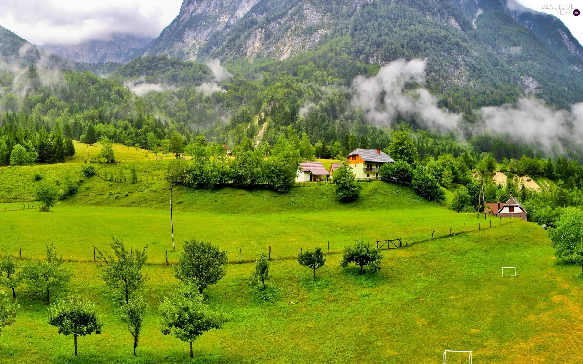 Houses, Fog, woods, field, Mountains