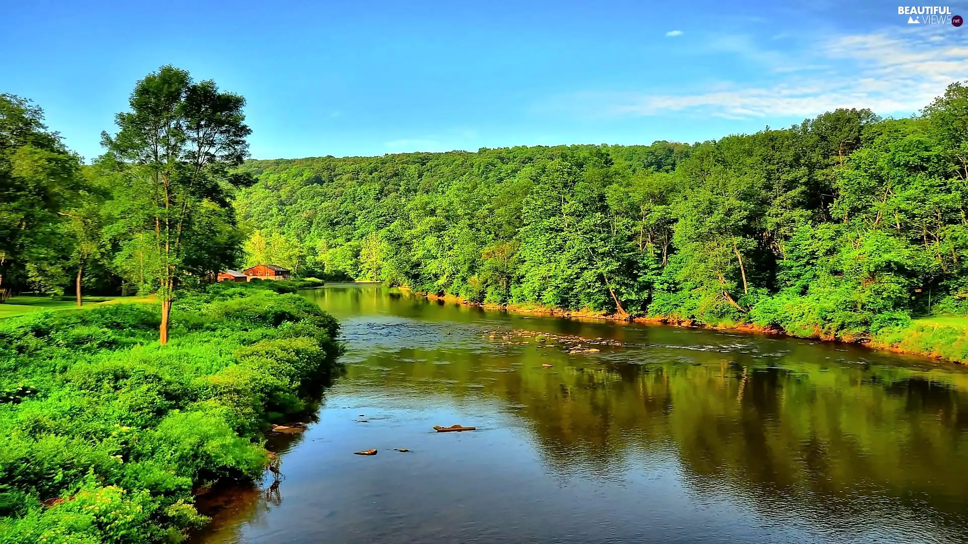 summer, River, Houses, Forest Meadow