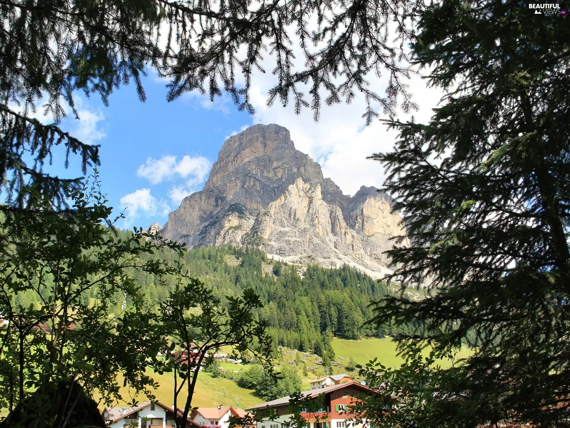 mountains, Spruces, Houses, forest