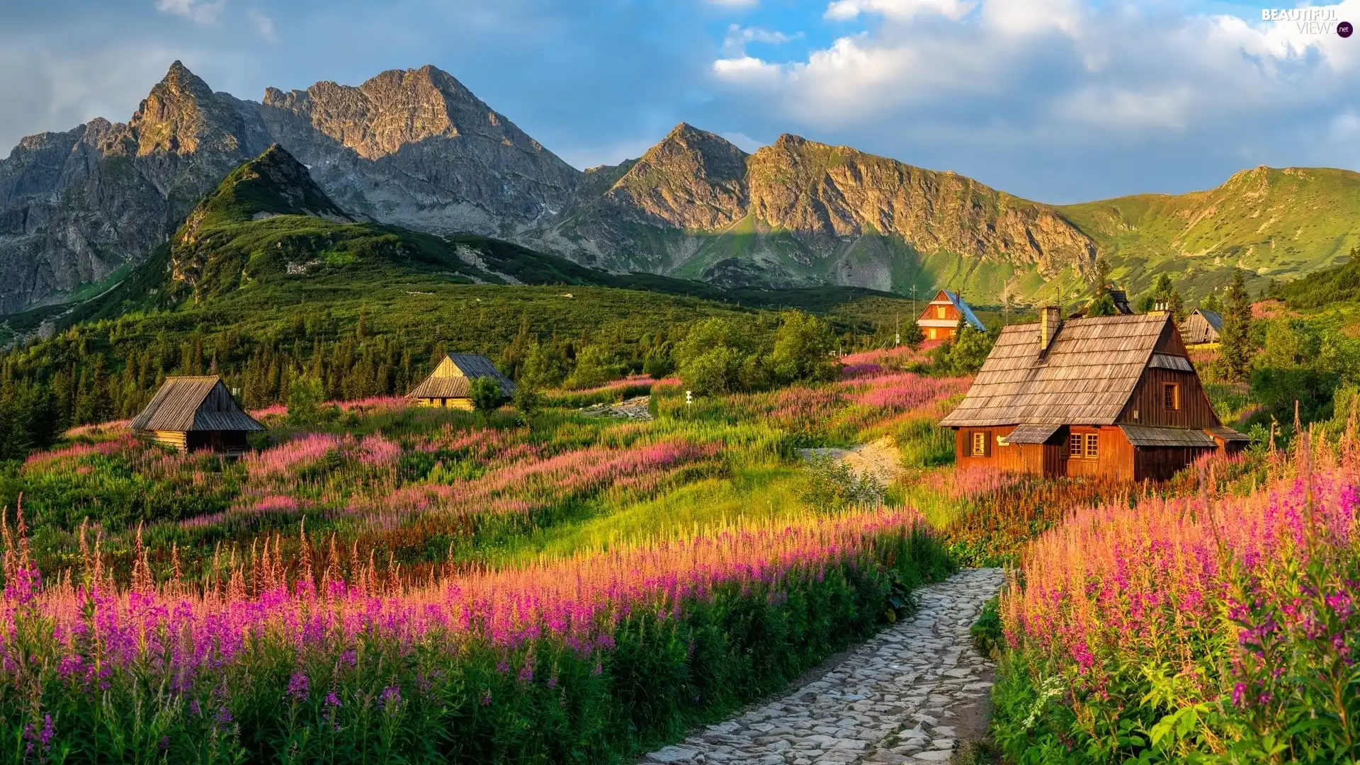Houses, Tatras, Tatra National Park, Way, Mountains, Flowers, Poland