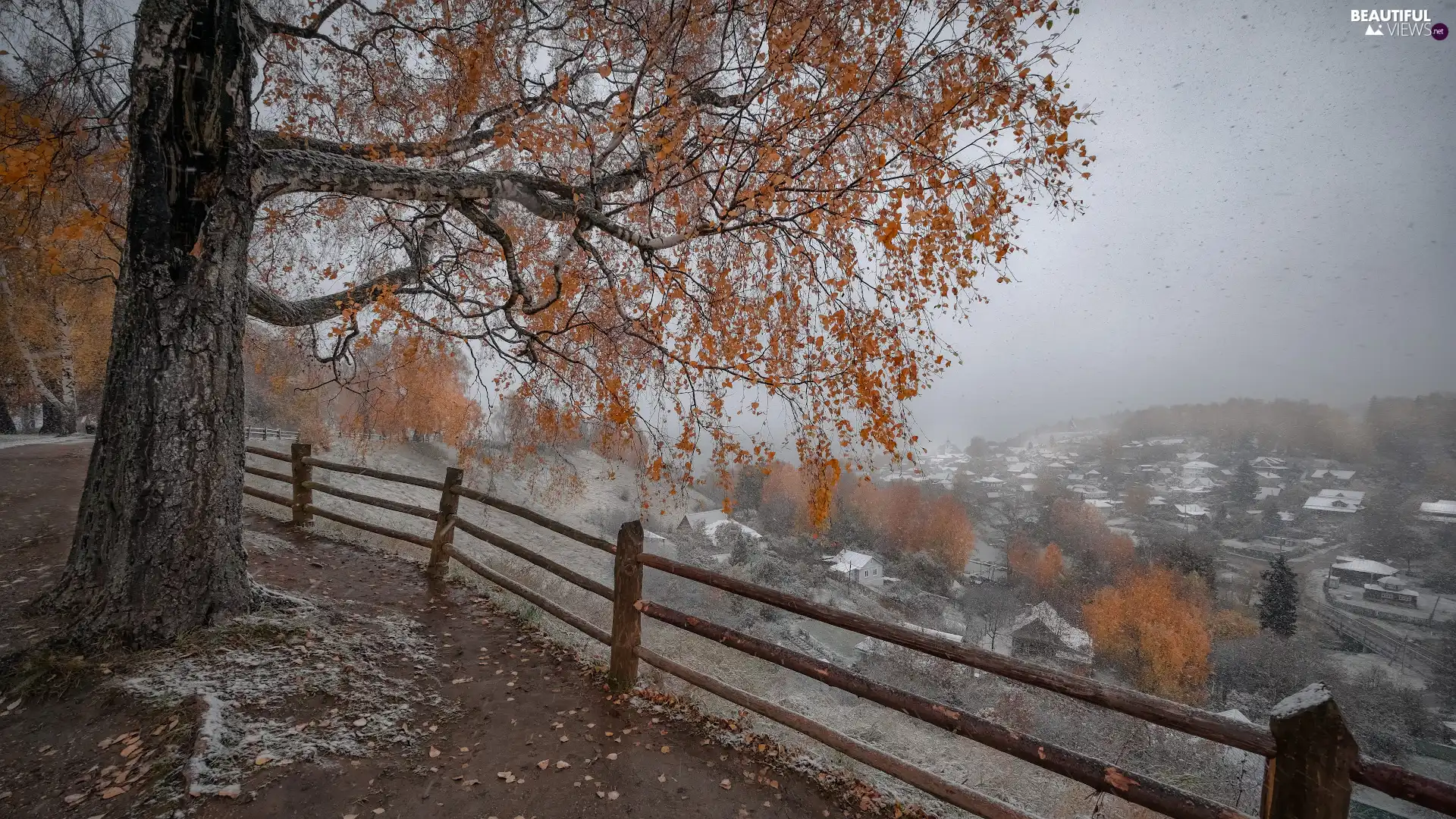 viewes, Mountains, snow, fence, incident, trees, autumn, Houses