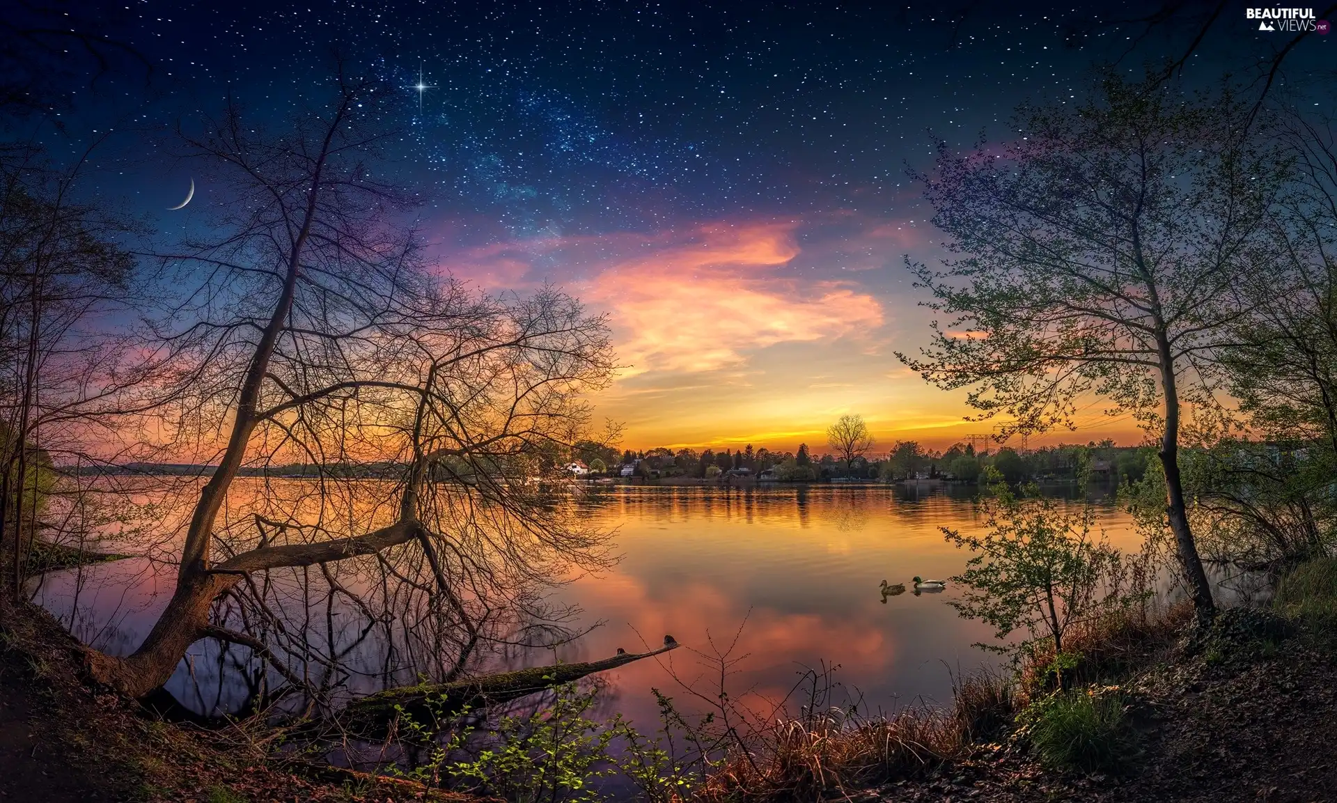 star, ducks, viewes, Great Sunsets, lake, trees, Houses